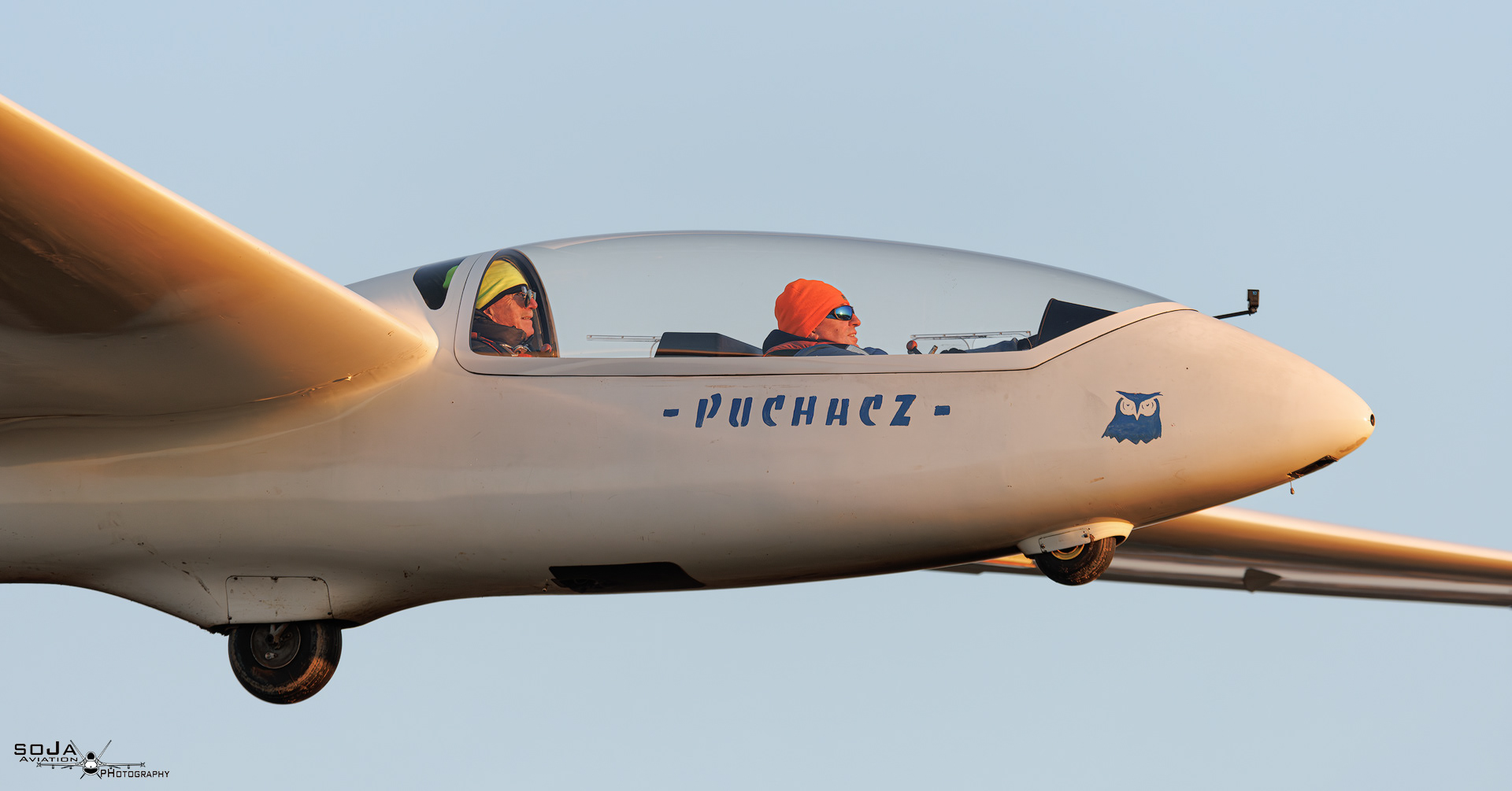 ID311224 - Aeroklub Ziemi Piotrkowskiej  PZL-SZD-50 Puchacz SP-3321 #7