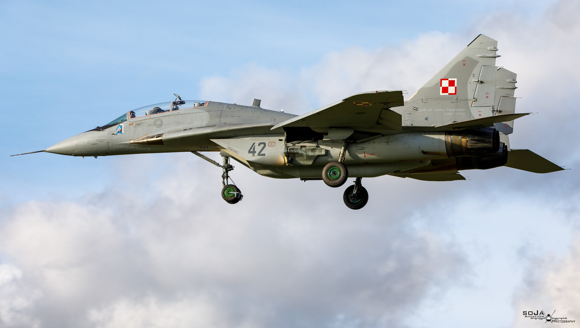 ID171023-Poland Air Force MiG-29UB 42 cn# 50903014642 #3