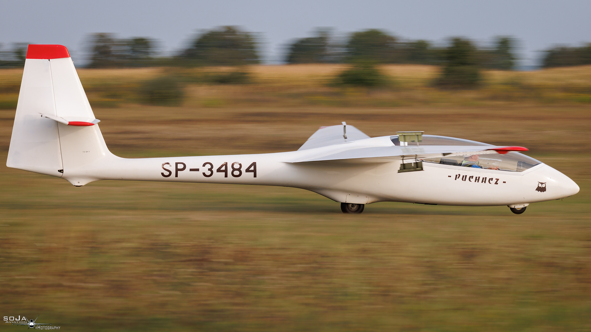 ID310824 - Aero Club Ziemi Piotrkowskiej SZD 50-3 Puchacz SP-3484