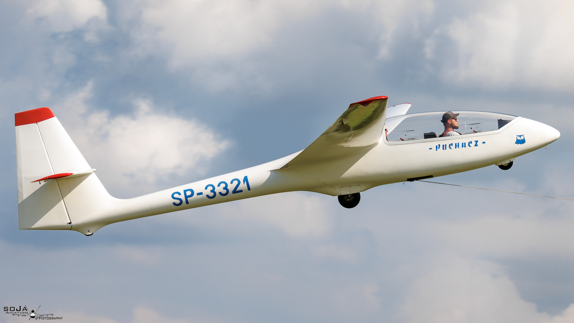 ID110824 - Aeroklub Ziemi Piotrkowskiej  PZL-SZD-50 Puchacz SP-3321