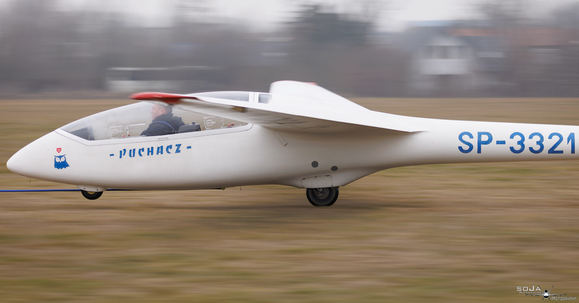 ID260125 - Aeroklub Ziemi Piotrkowskiej  PZL-SZD-50 Puchacz SP-3321 #5