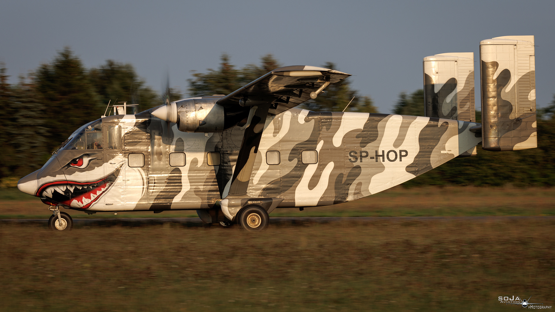 ID240824 - SkyForce Short SC-7 Skyvan SP-HOP Sharky cn# SH1906 230723