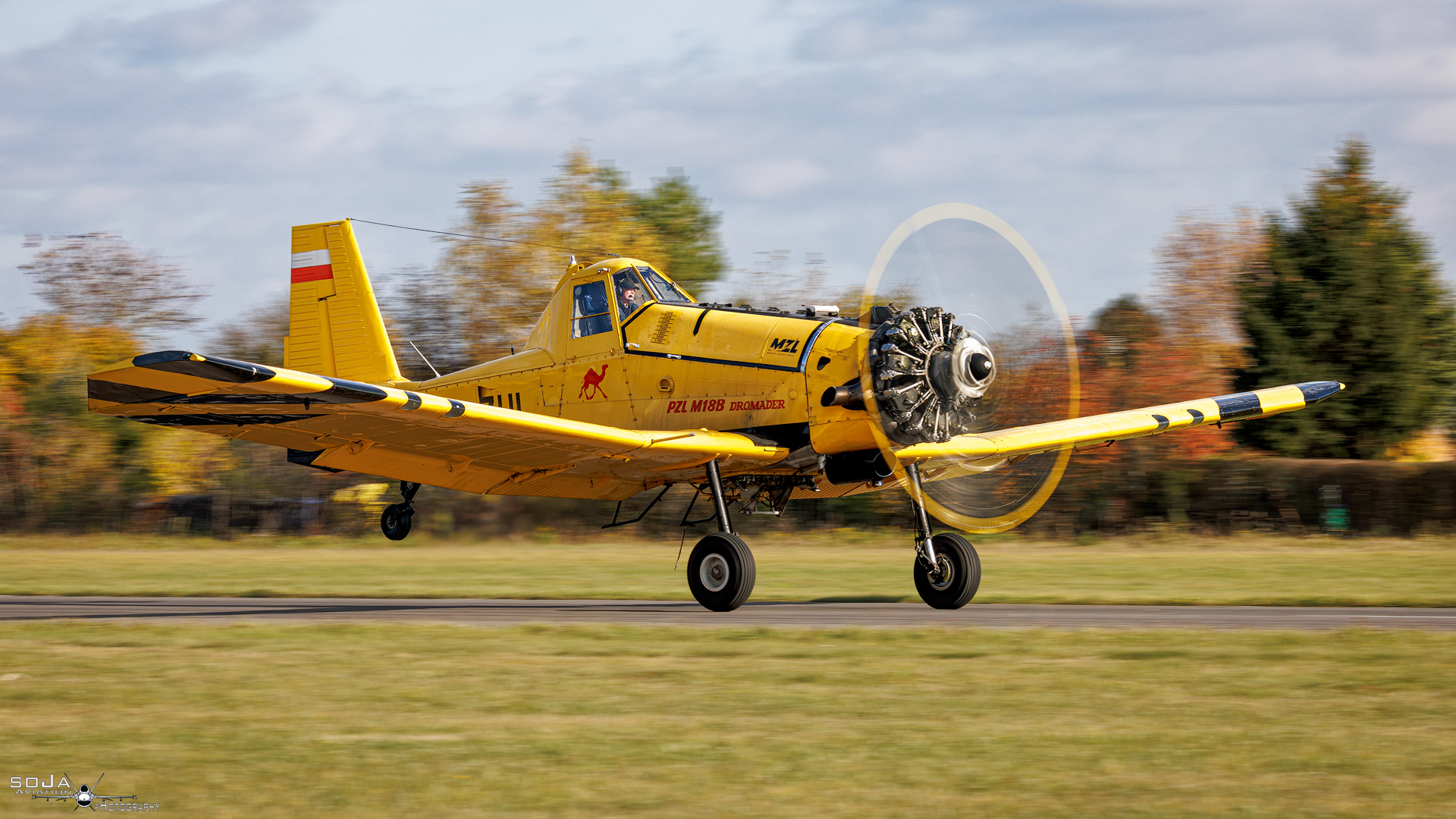 ID281024 - PZL-Mielec M-18 Dromader SP-ZUL  cn# 1Z014-11 #2