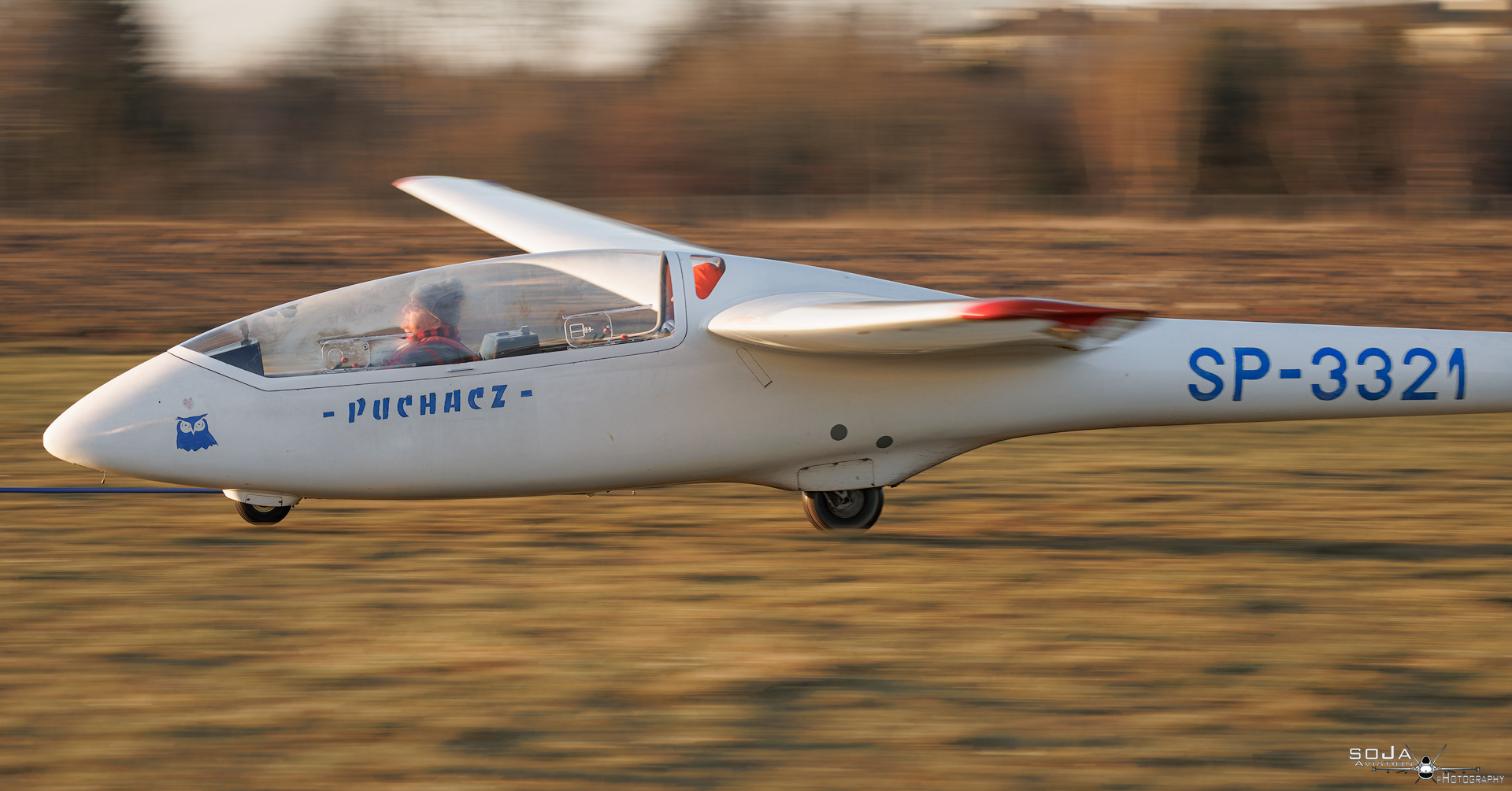 ID311224 - Aeroklub Ziemi Piotrkowskiej  PZL-SZD-50 Puchacz SP-3321 #4