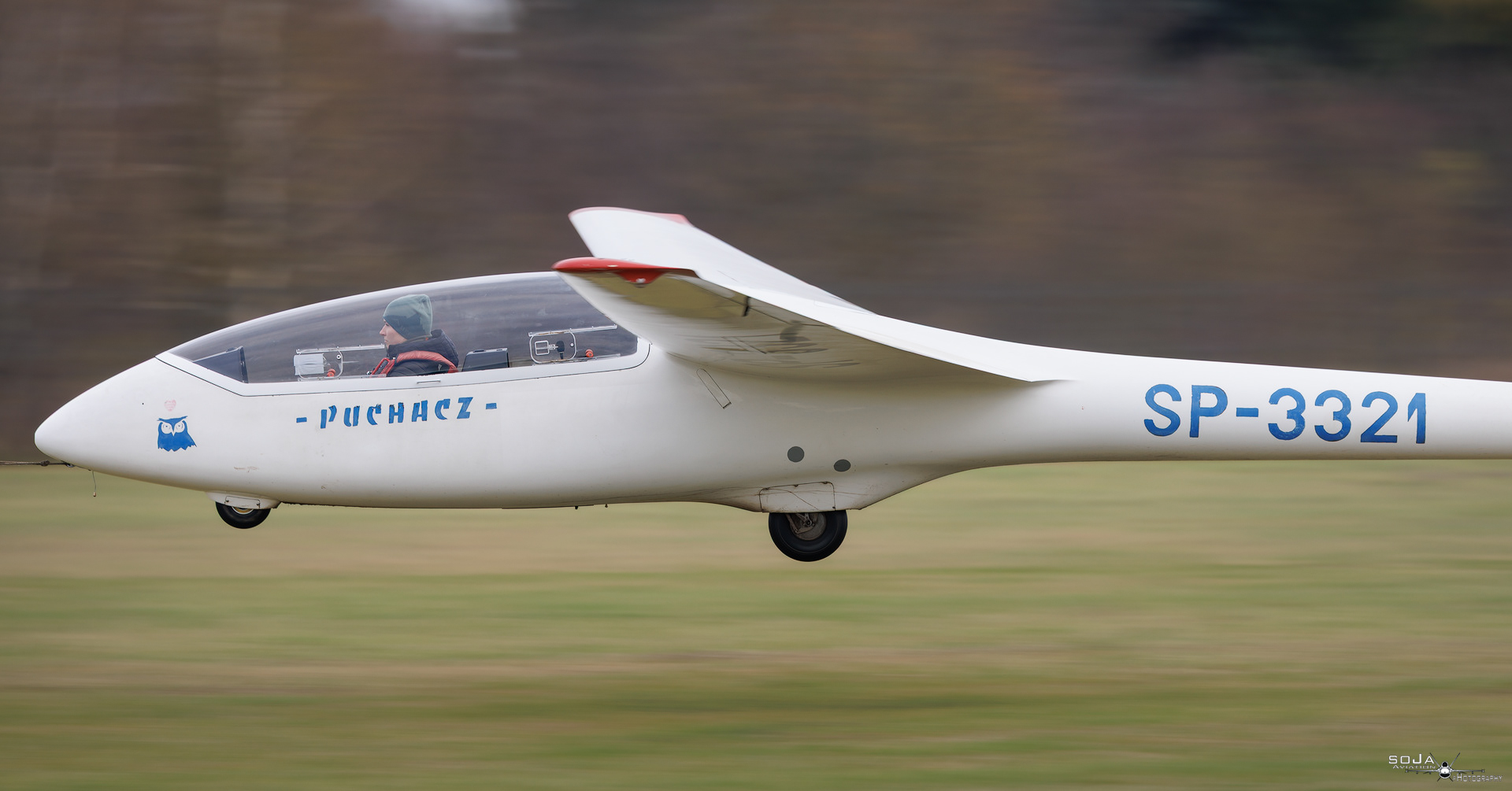 ID221125 - Aeroklub Ziemi Piotrkowskiej  PZL-SZD-50 Puchacz SP-3321 #2