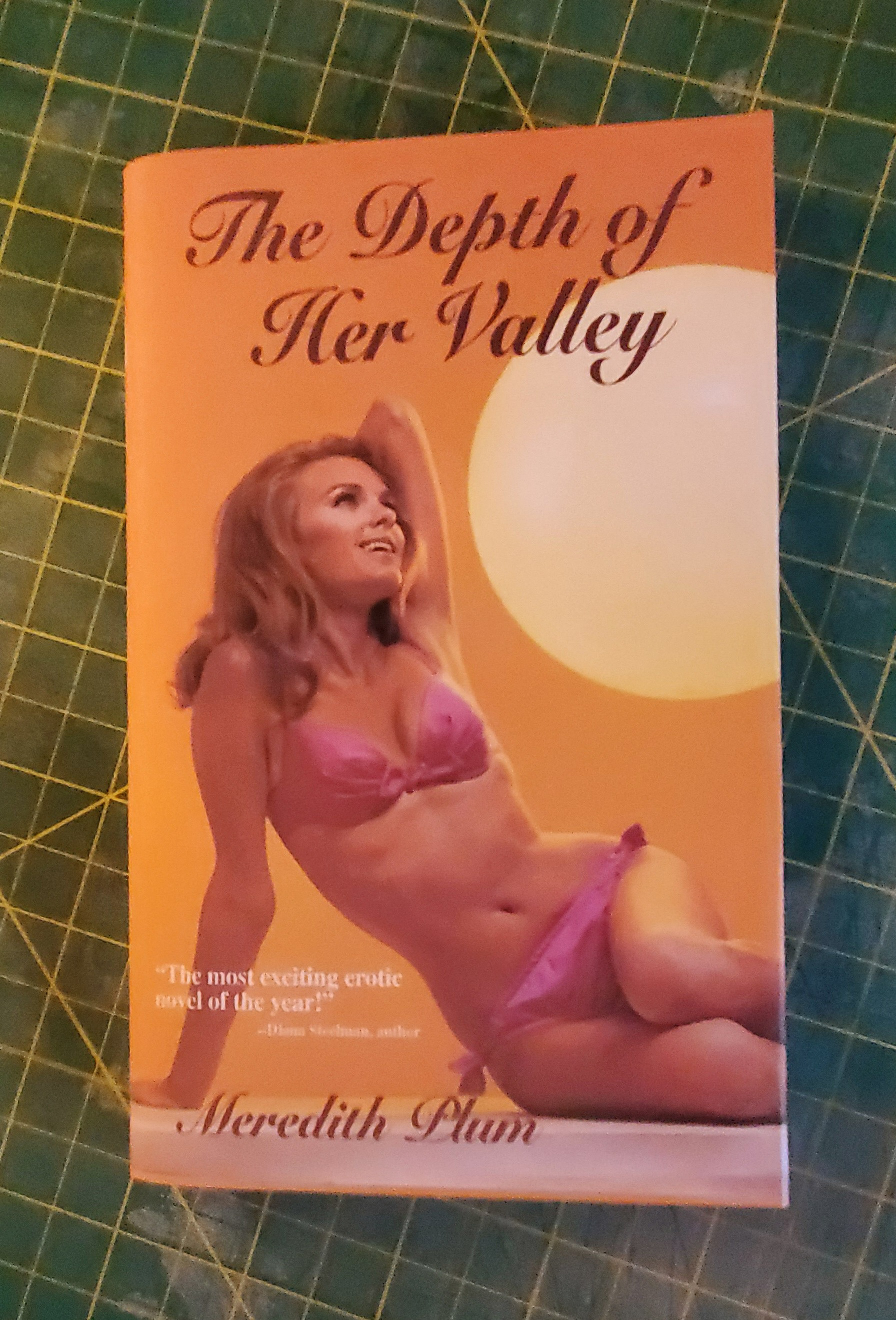 2023 - Romance book cover for Monica's News