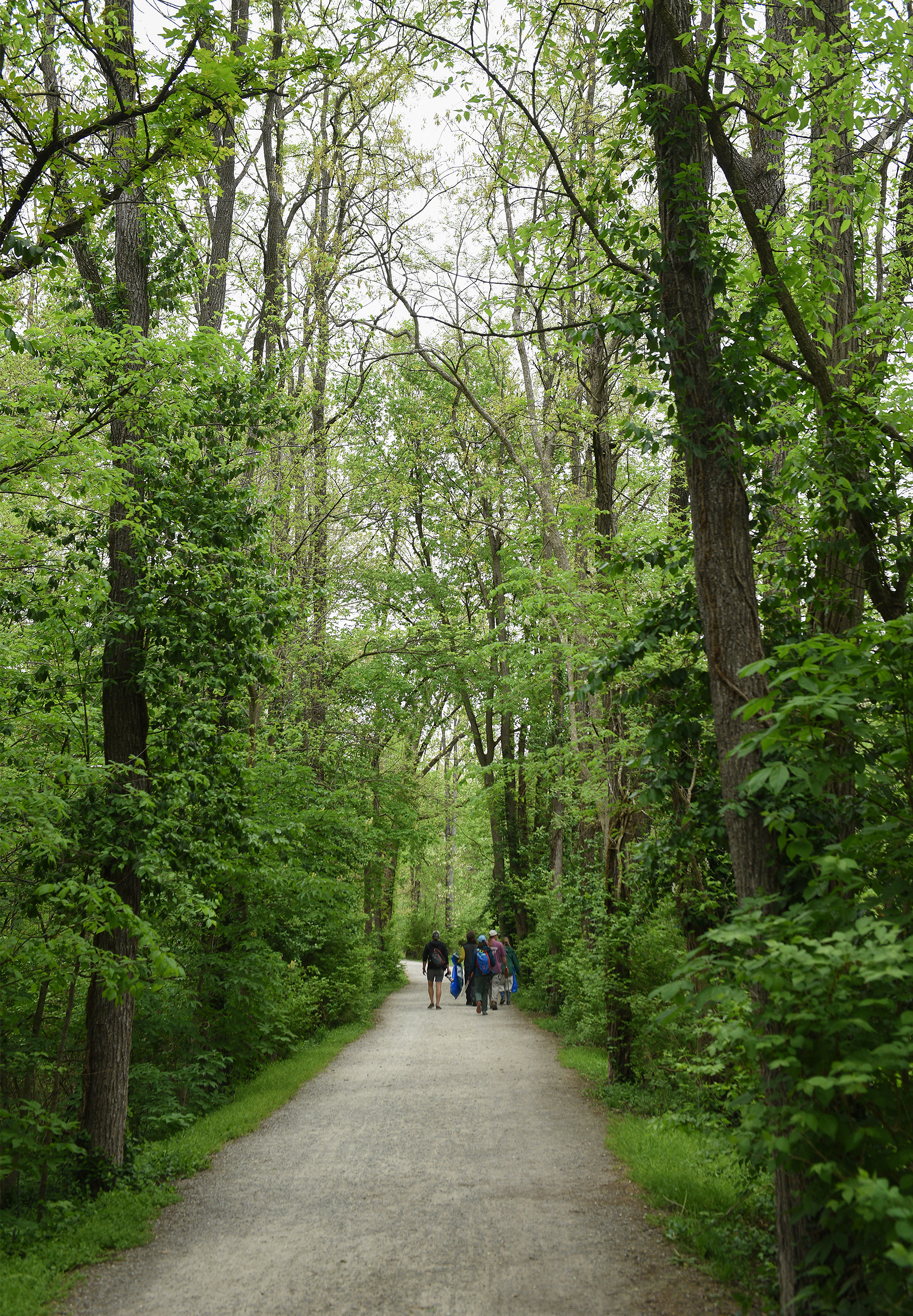 Workers and volunteers from Missouri River Relief head toward Flat Branch Creek for an Earth Day river cleanup on Wednesday at the MKT Nature and Fitness Trail in Columbia. Helpers split into various small groups to ensure the cleanup went quick and covered a larger stretch of land.