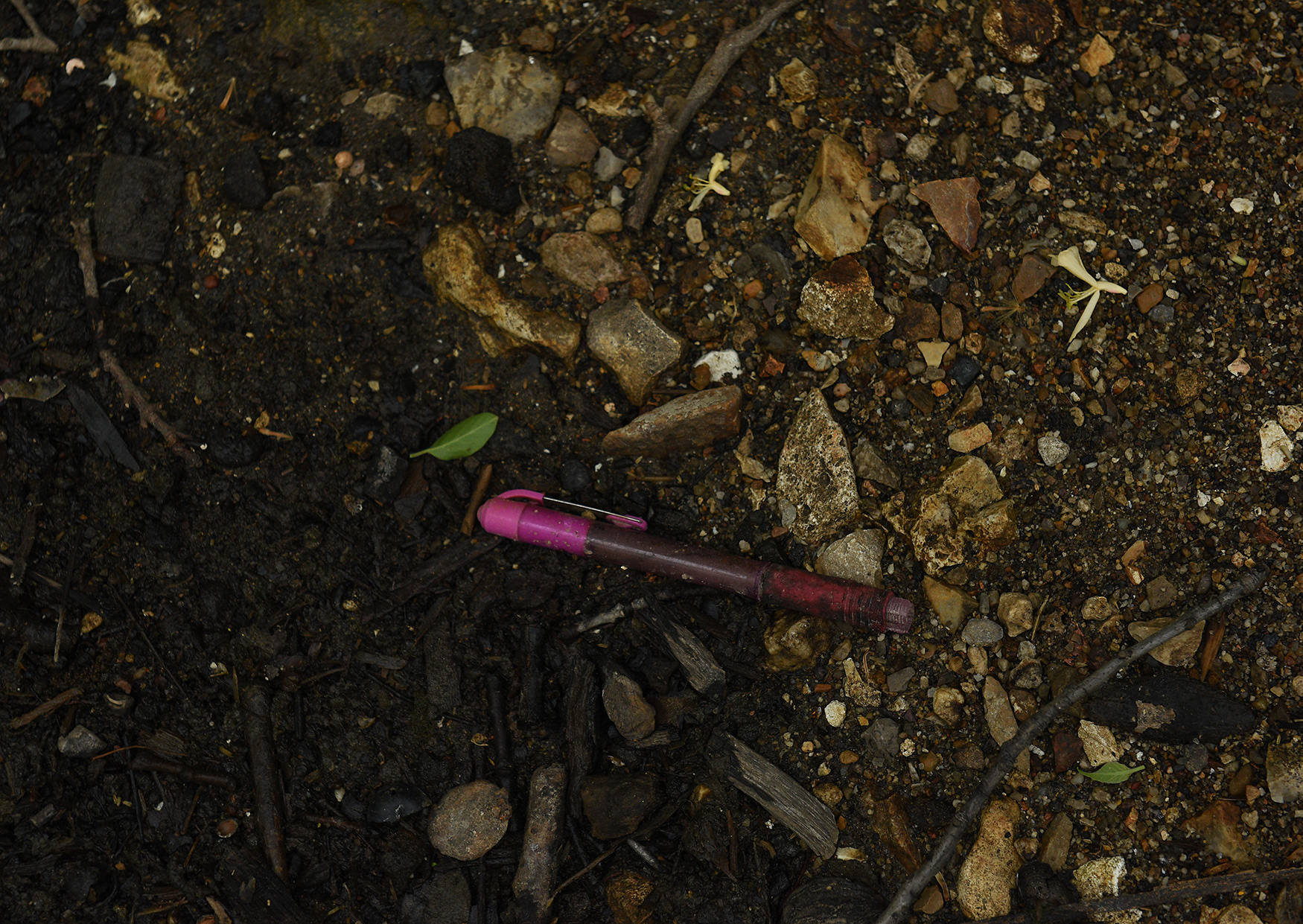 A hot pink pen rests in the mud and rocks of Flat Branch Creek on Wednesday at the MKT Nature and Fitness Trail in Columbia. The writing utensil found its final resting place in a garbage bag, along with other trash picked up by Missouri River Relief and the team’s 40-plus volunteers on Earth Day.