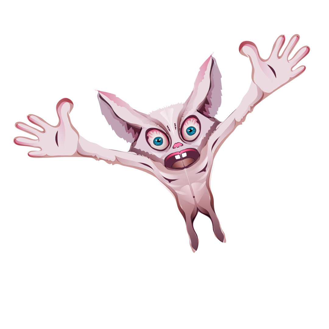 vector illustration