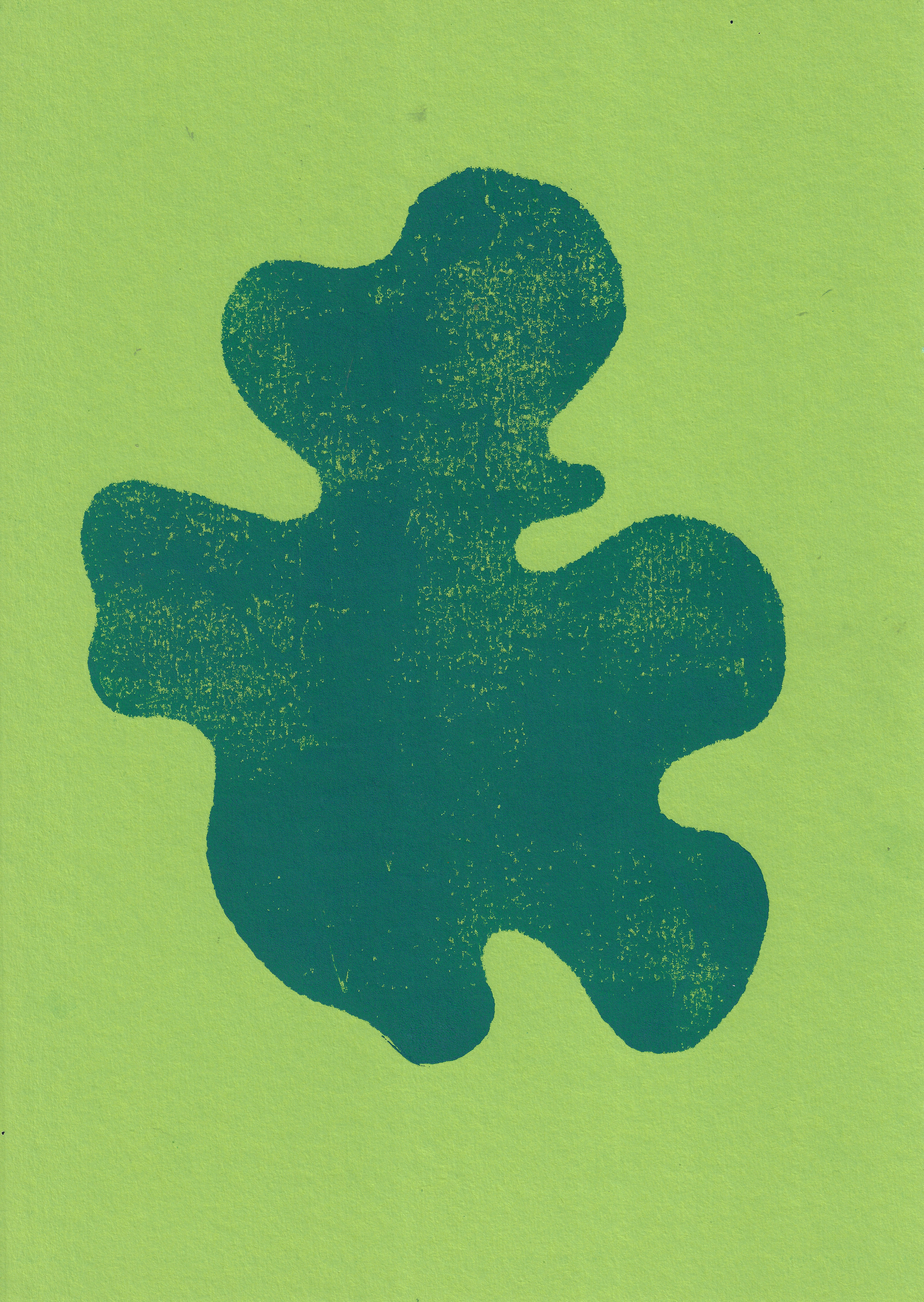 24.1 x 34 cm