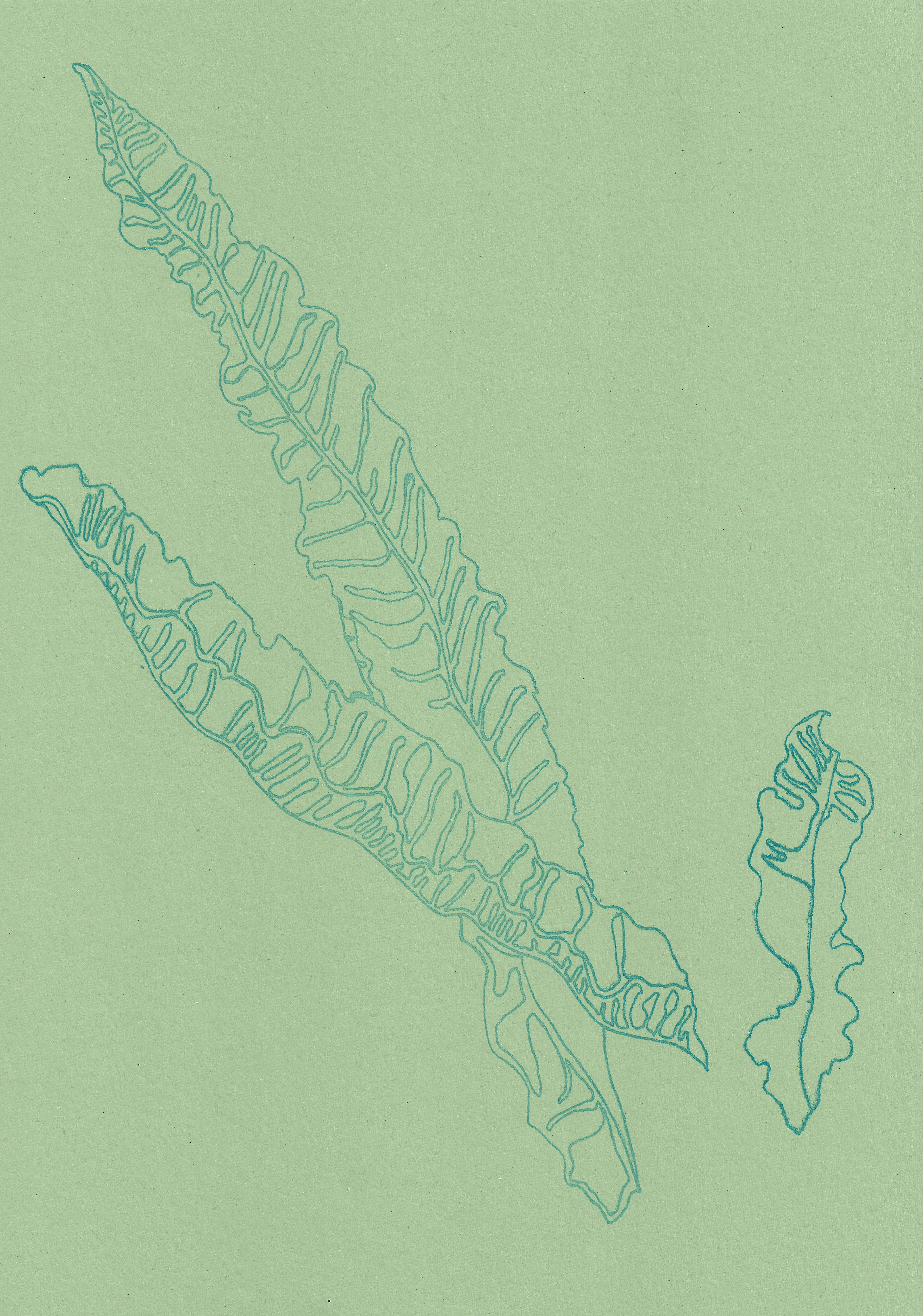 29.7 x 42 cm