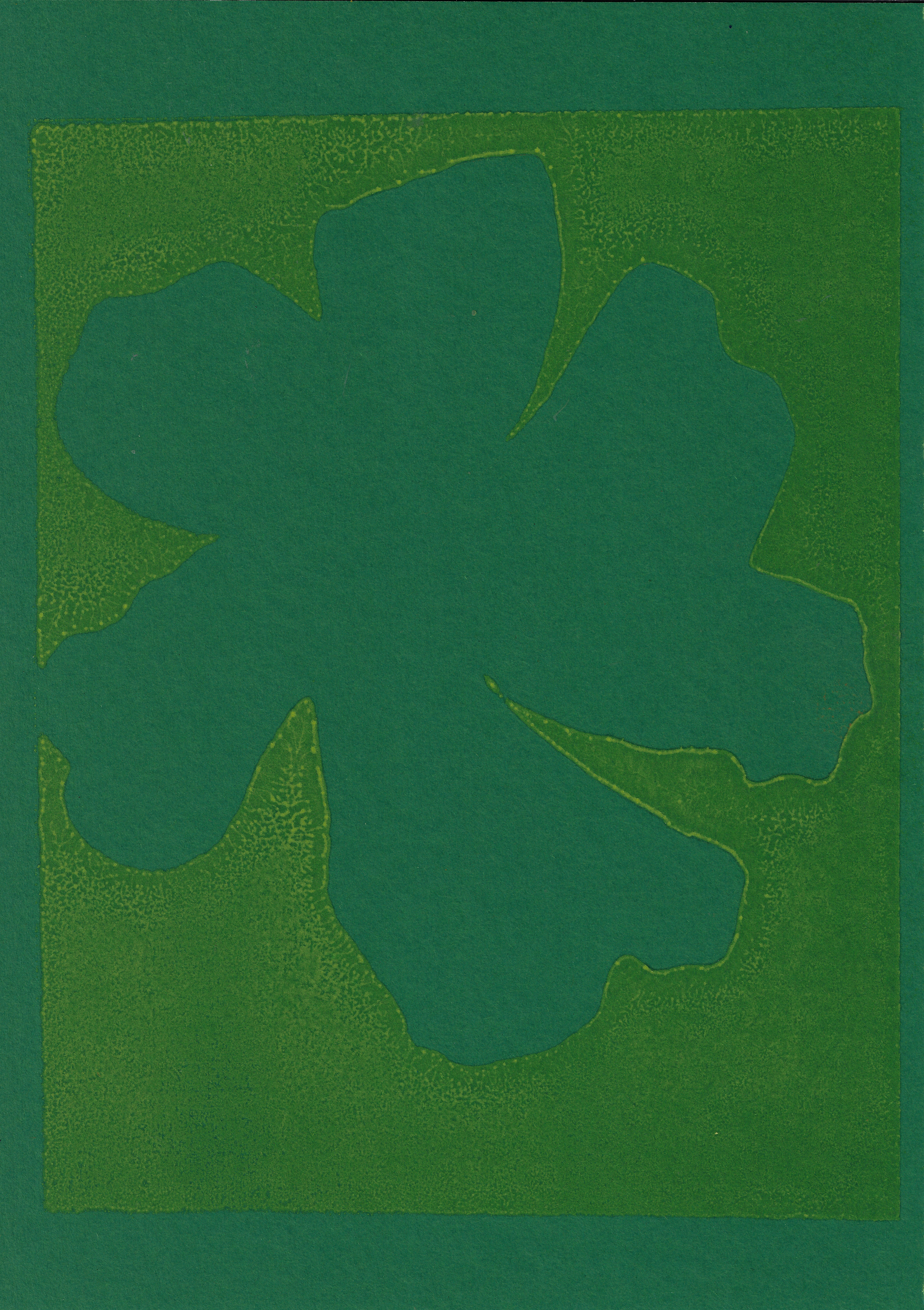 24.1 x 34 cm
