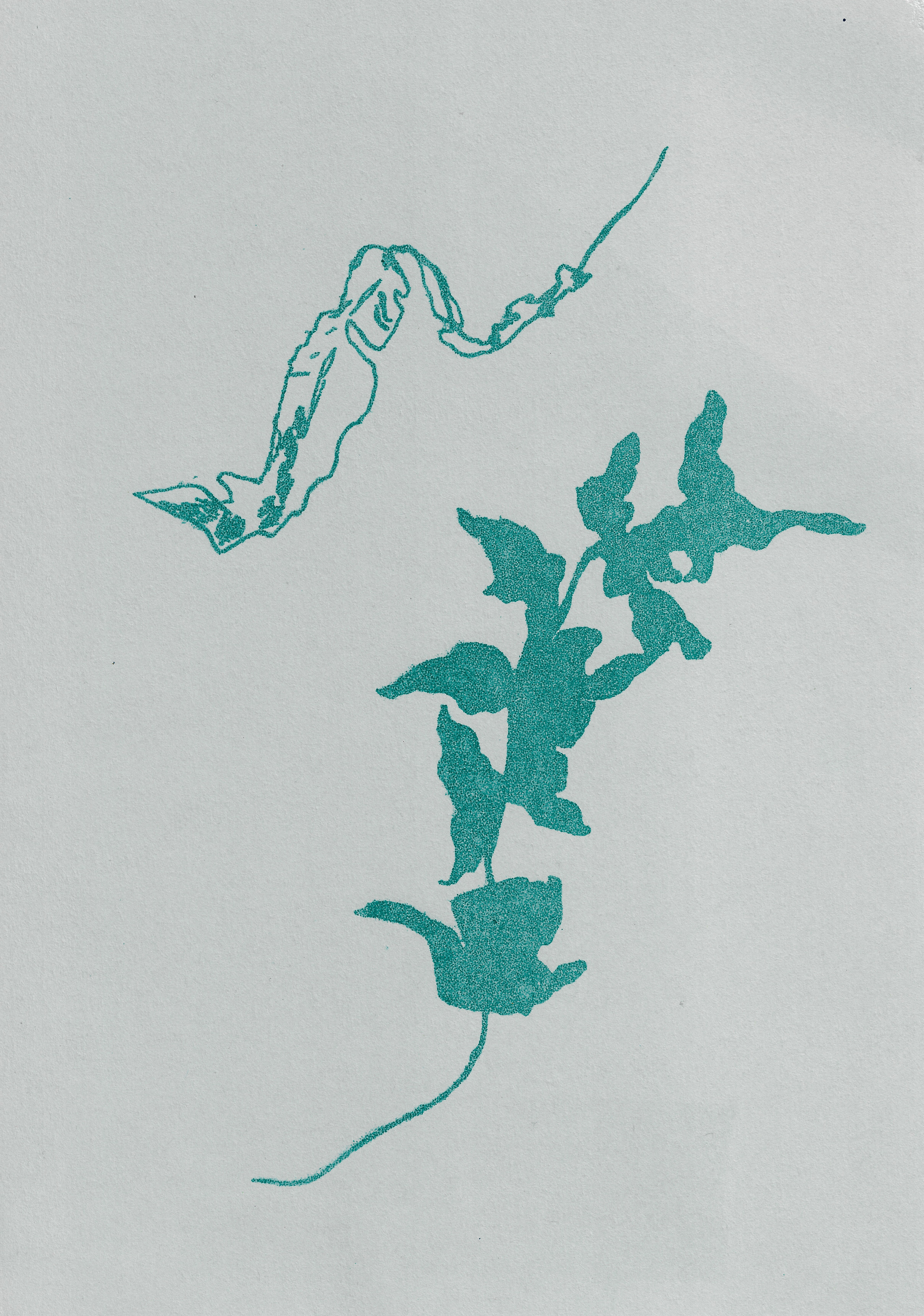 21 x 29.7 cm