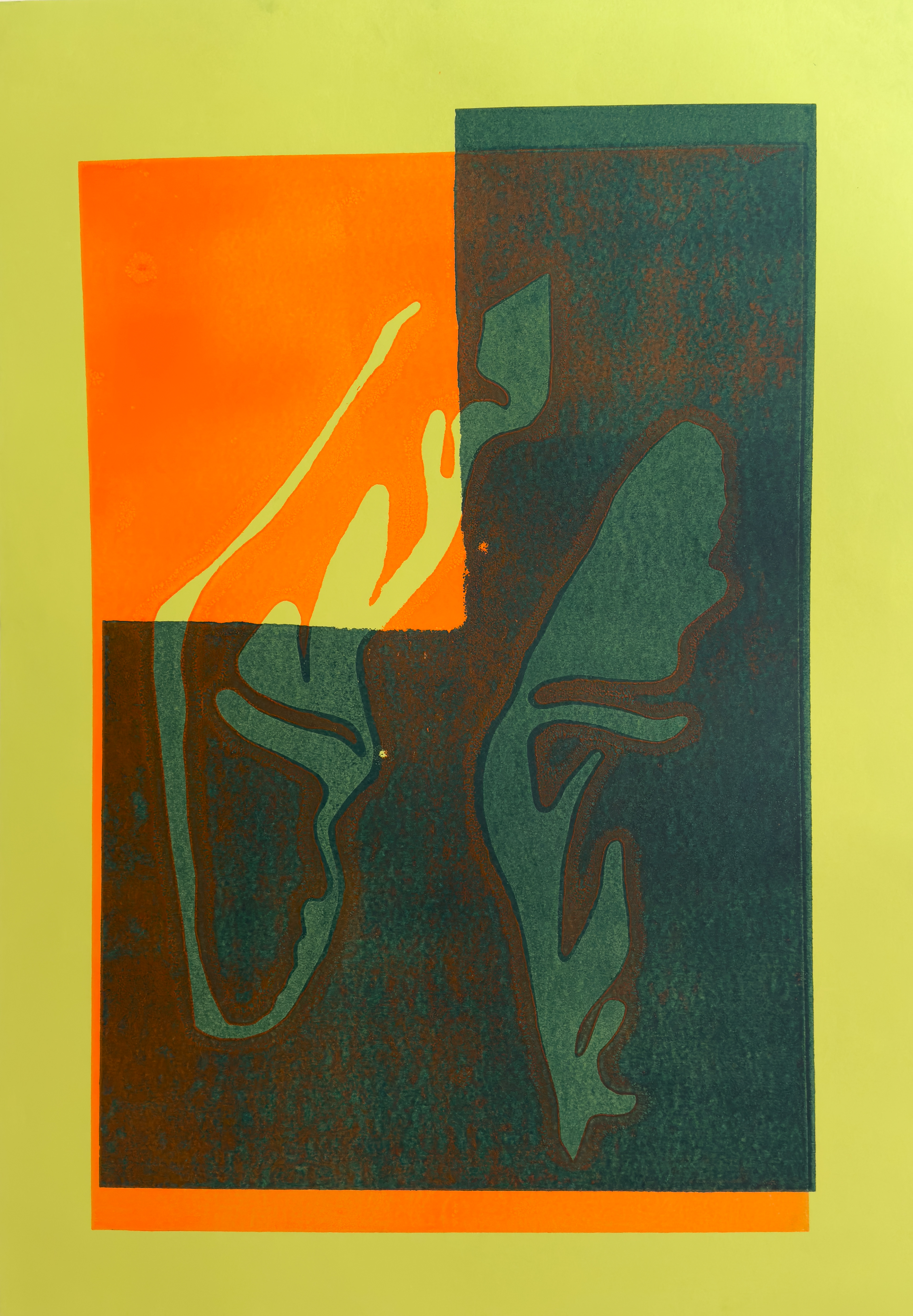 59.4 x 84.1 cm