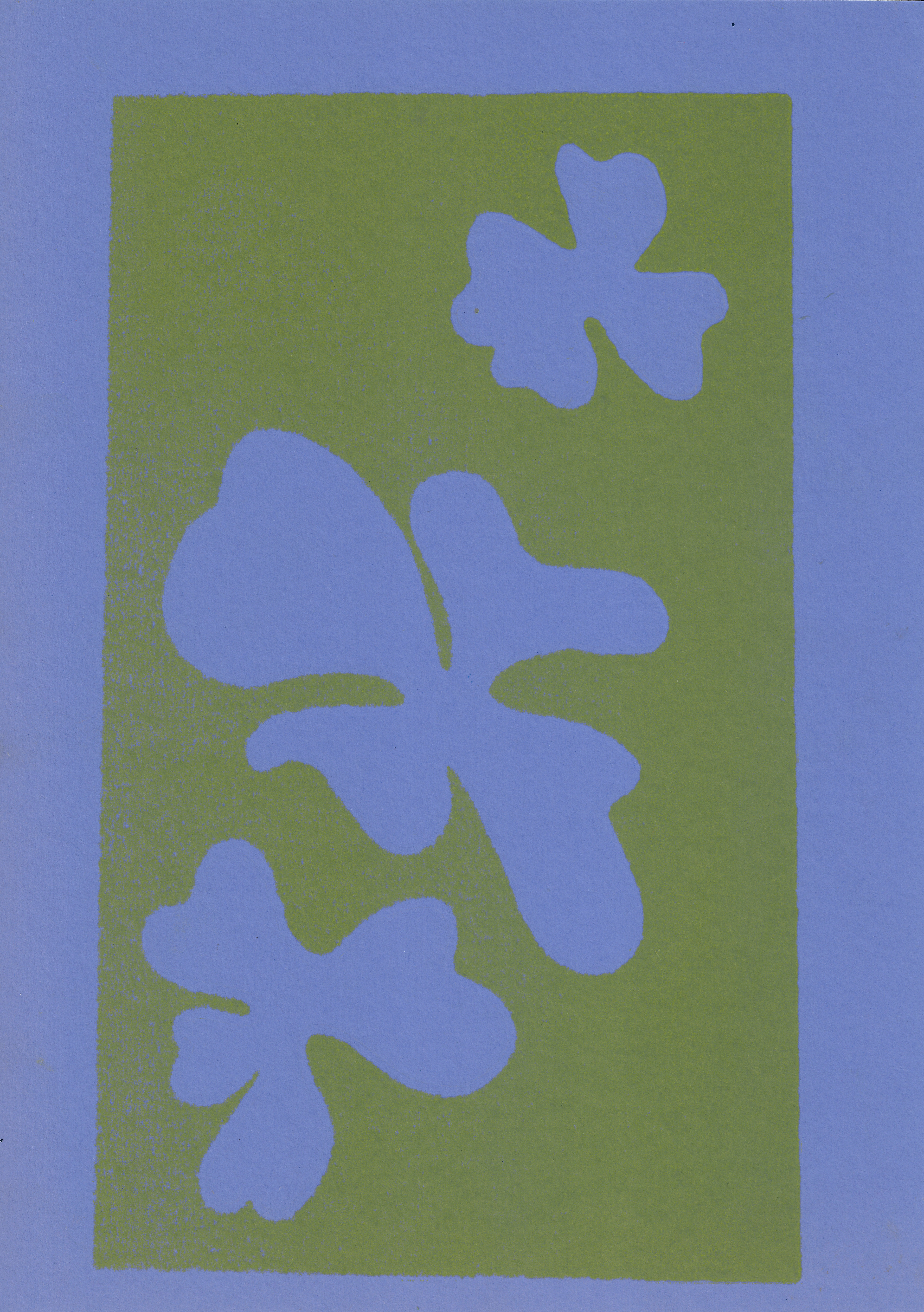 24.1 x 34 cm