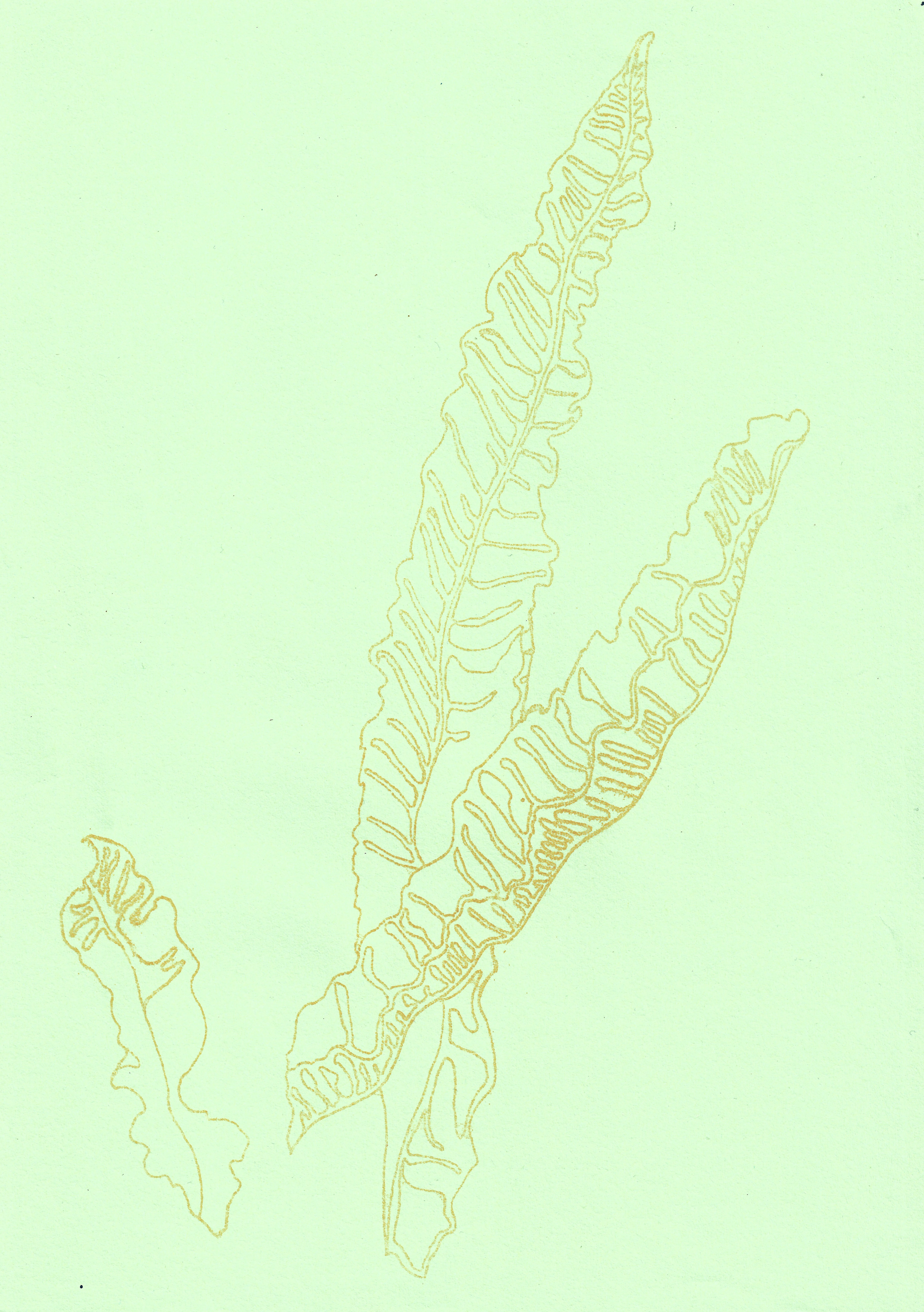 21 x 29.7 cm