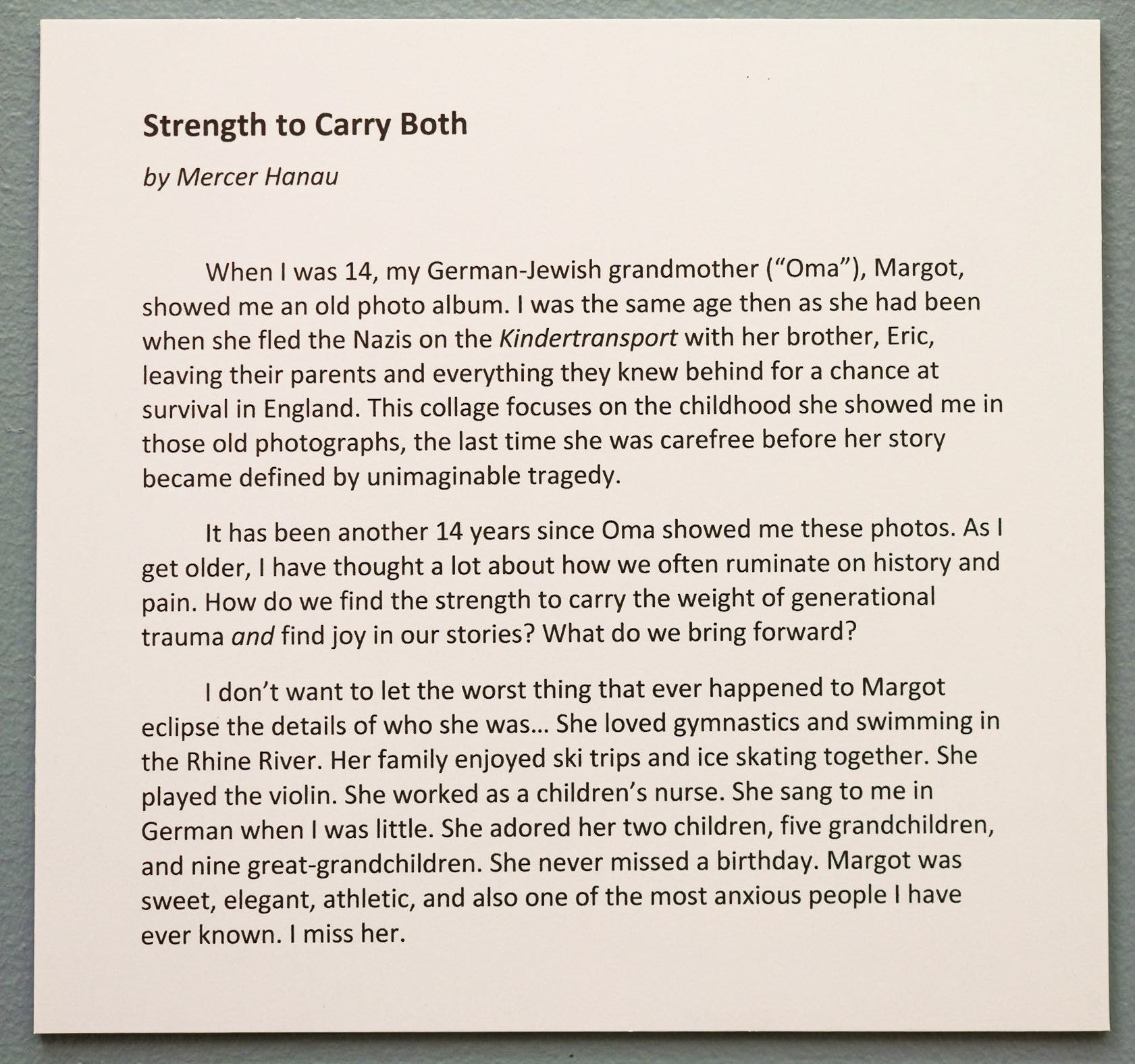 Artist statement by Mercer Hanau