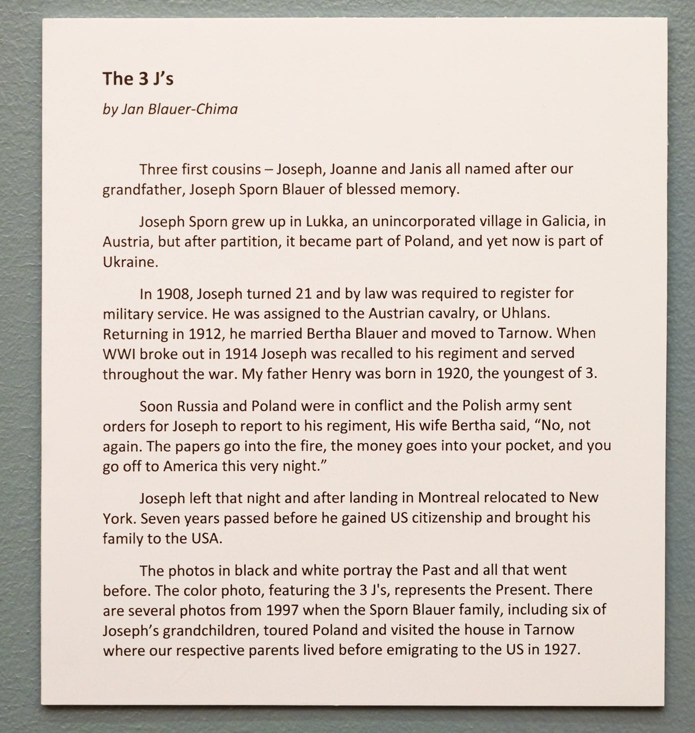 Artist statement by Jan Blauer-Chima