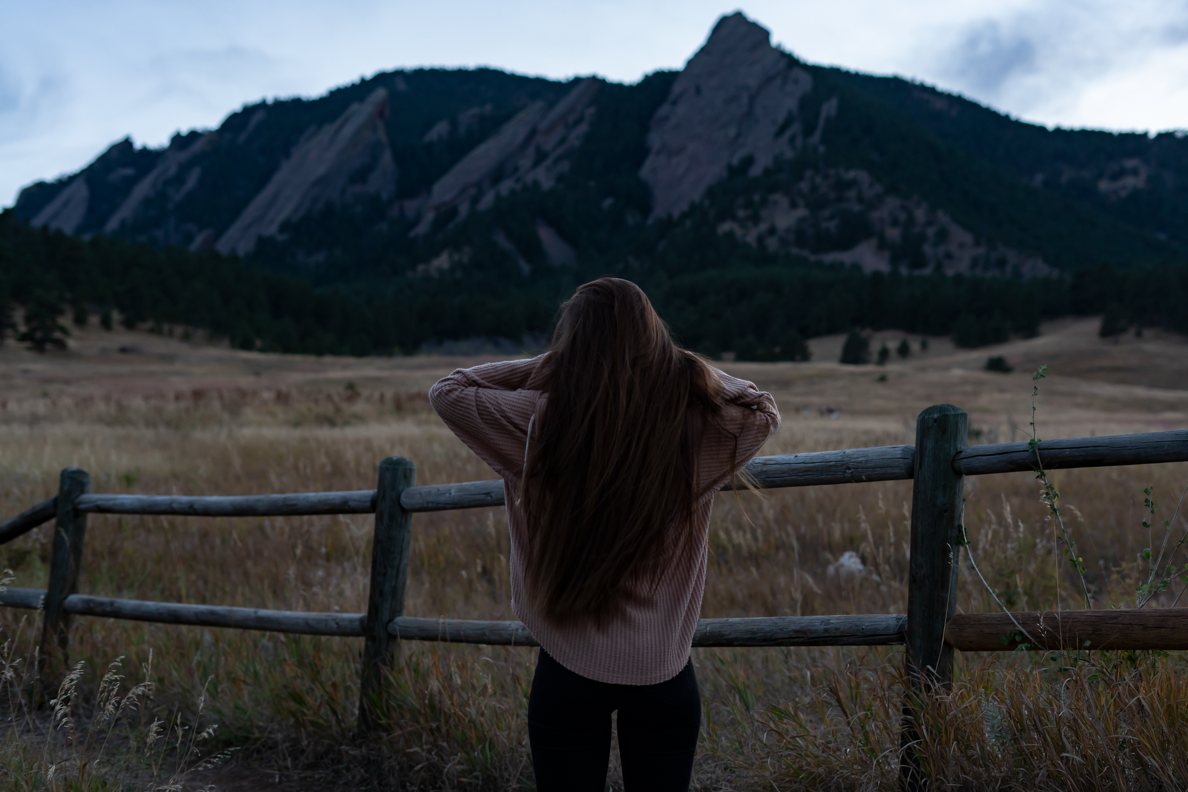 Taylor's Dreamland