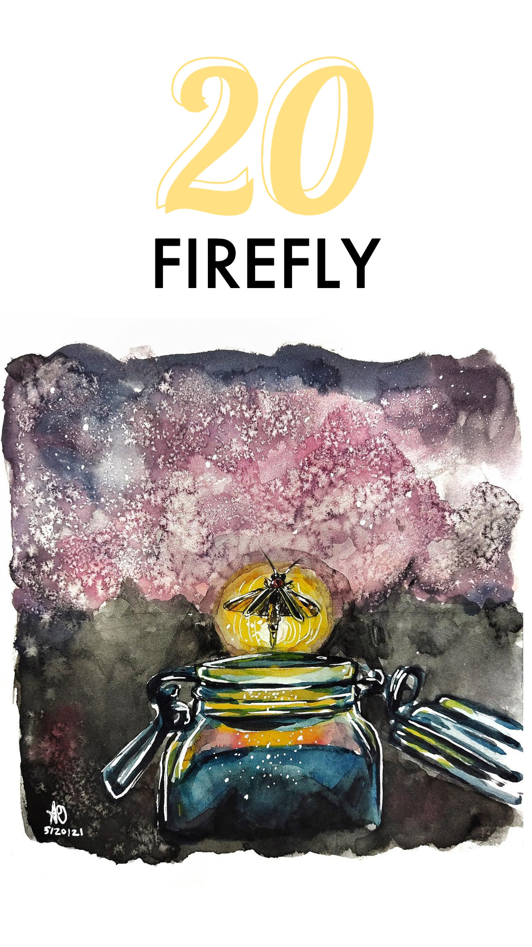 FIREFLY