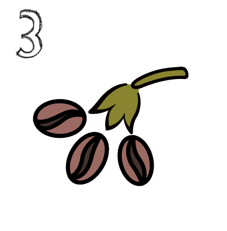 Coffee Seeds Tezhip