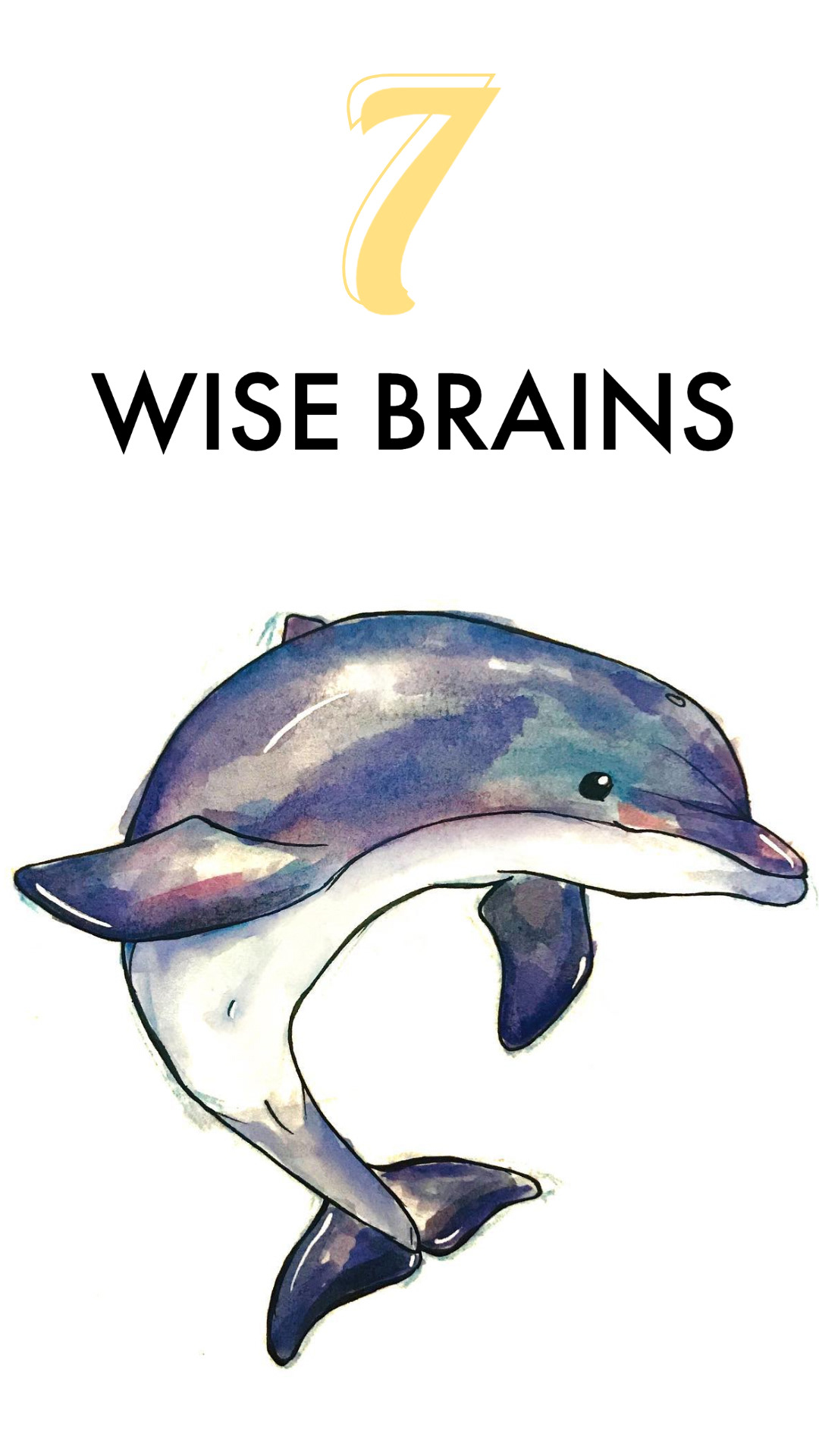 WISE BRAINS