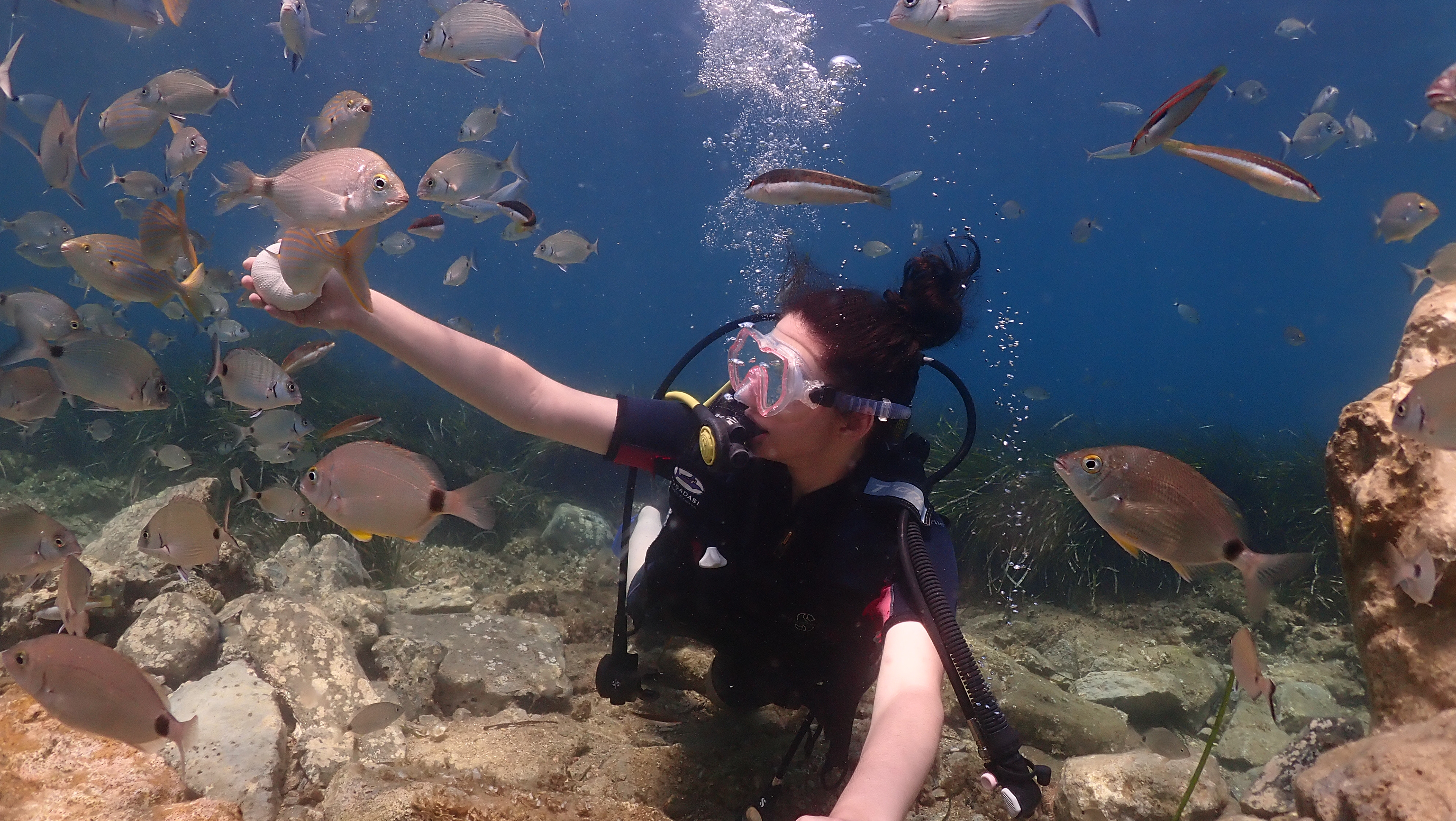 Scuba Diving 2