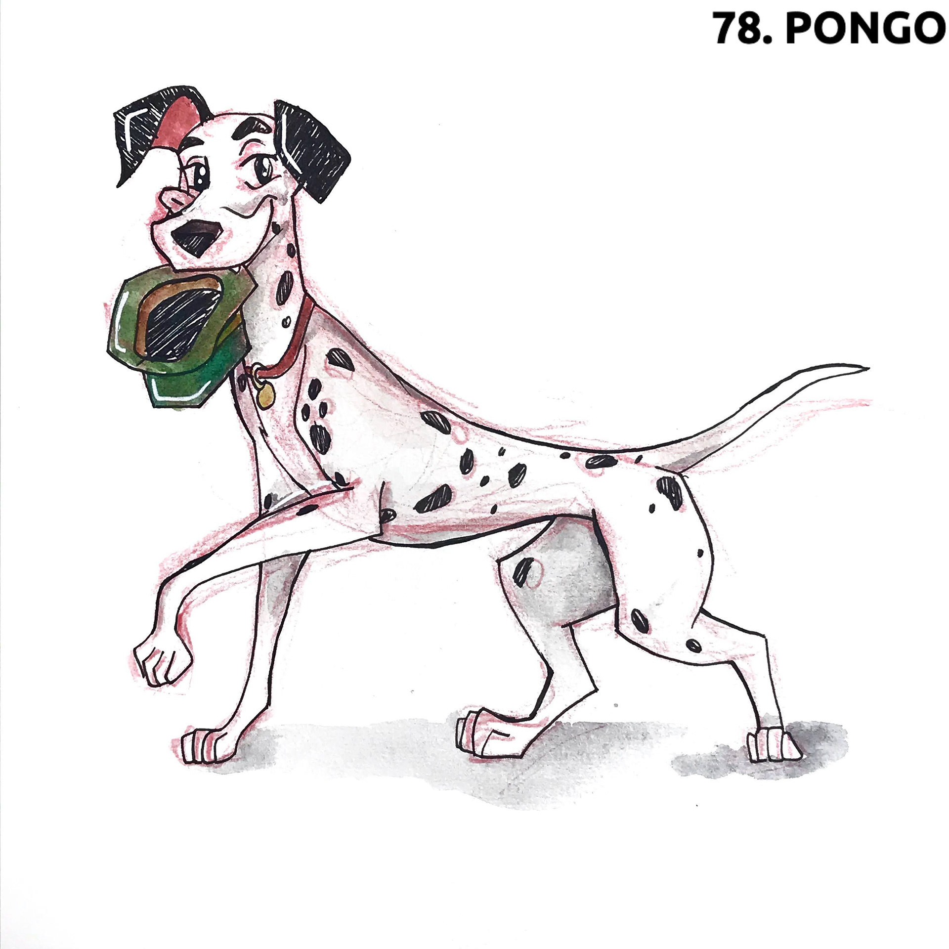 Pongo