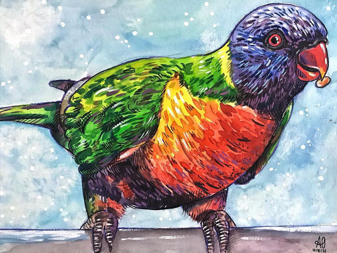 Bird Drawing by Anisa Ozalp