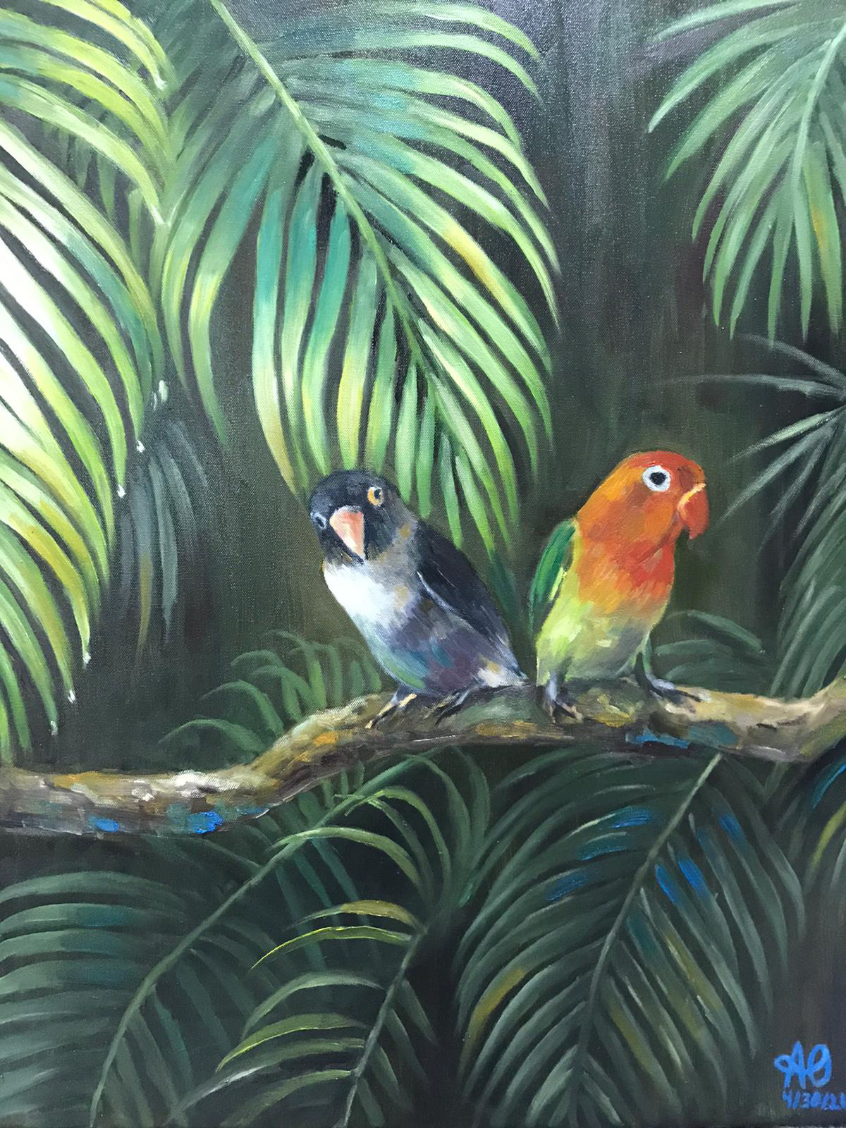 My Lovebirds: Berry & Mango