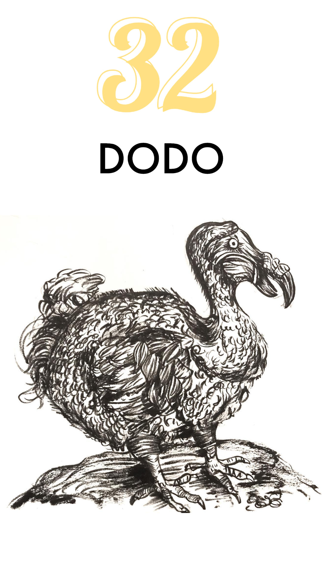 DODO