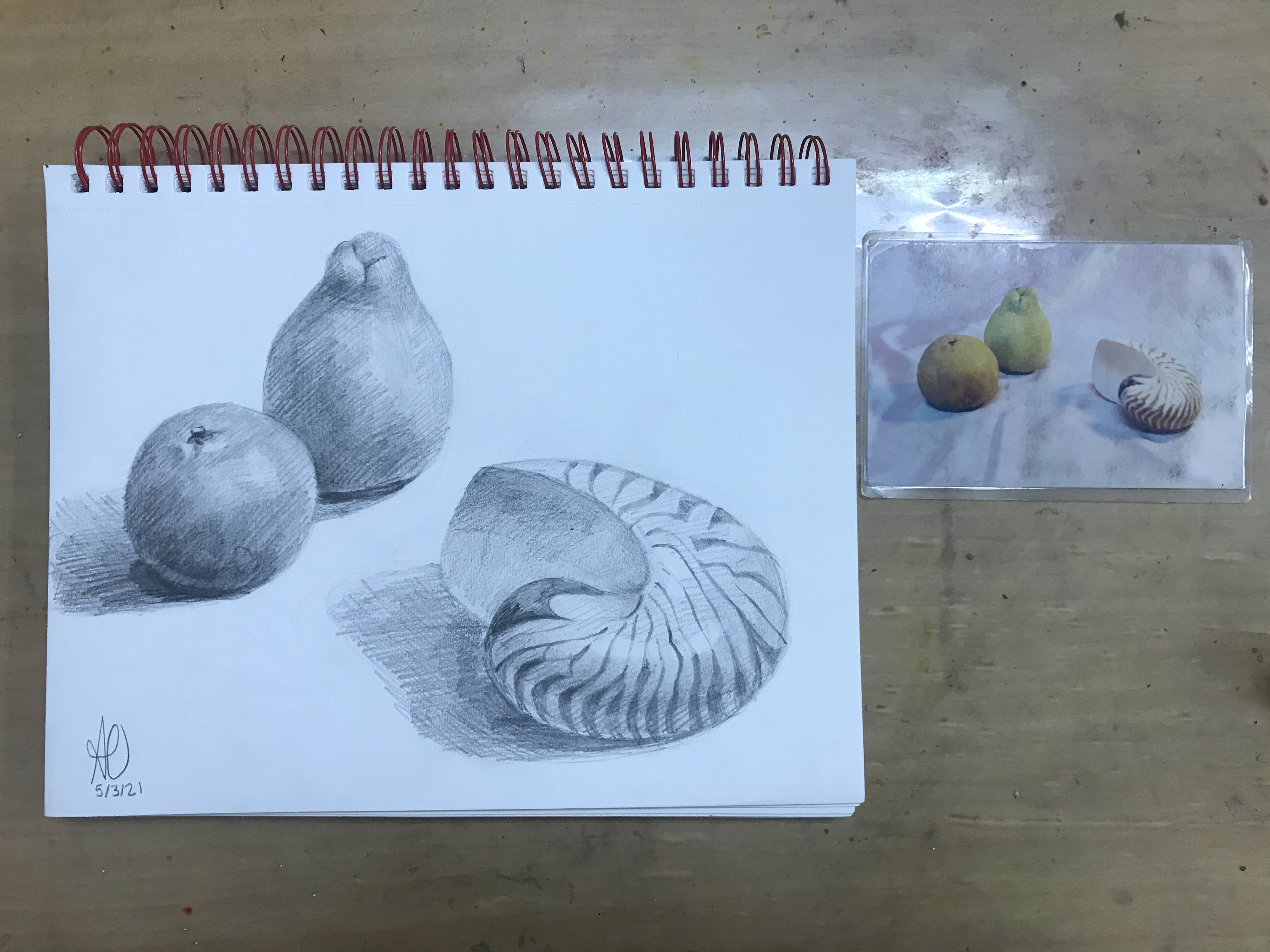 Orange, Pear & Sea Shell still life