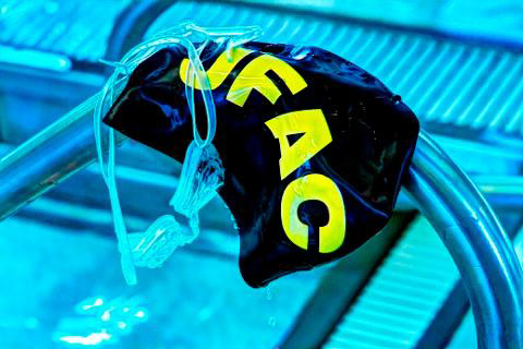 Jersey Flyers New Jersey USA
