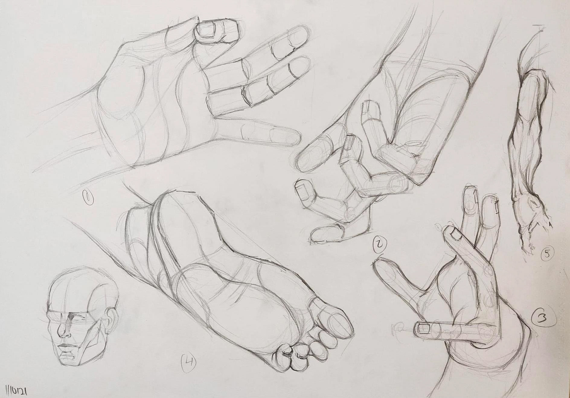 HUMAN ANATOMY DRAWING