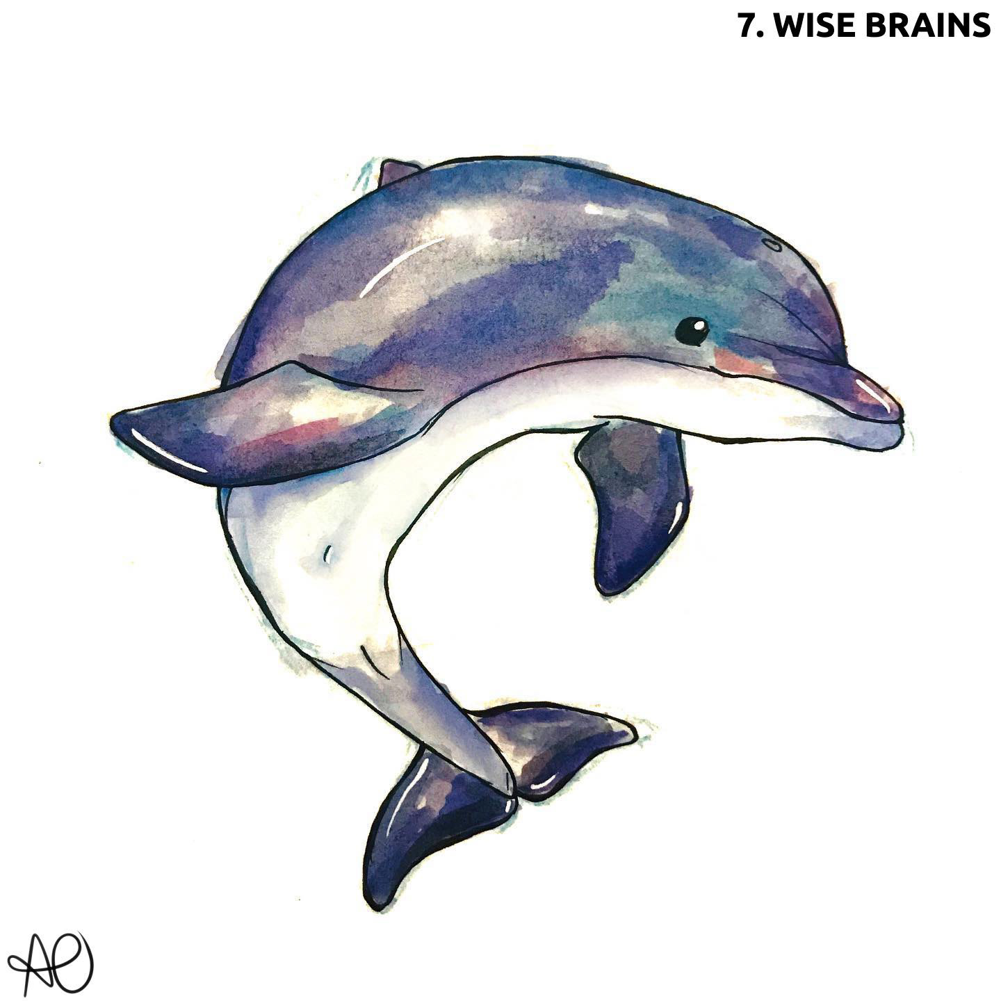 Dolphin Watercolor