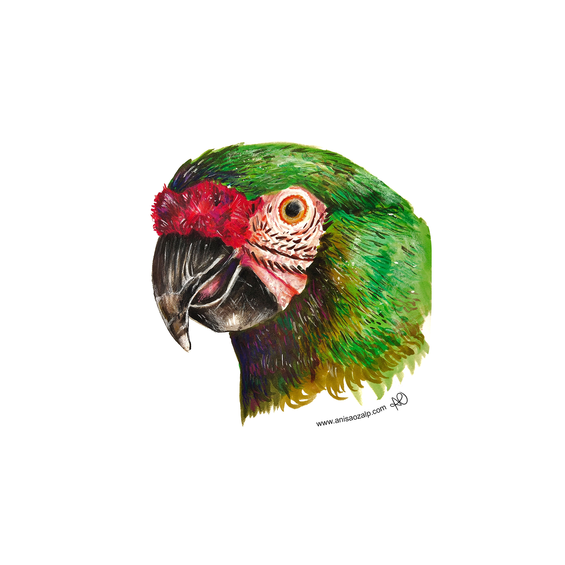 Bird Sticker