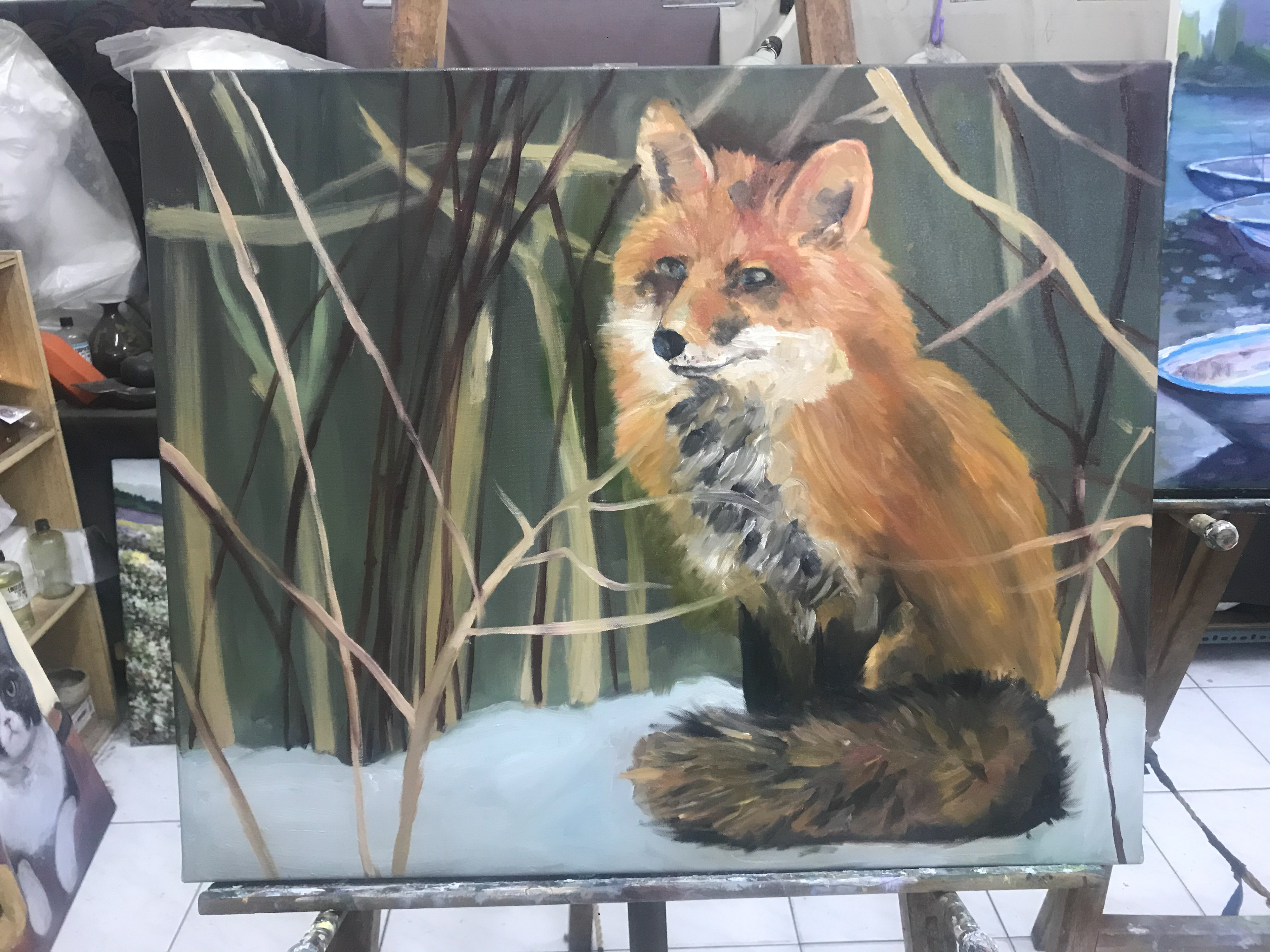 Sitting Fox