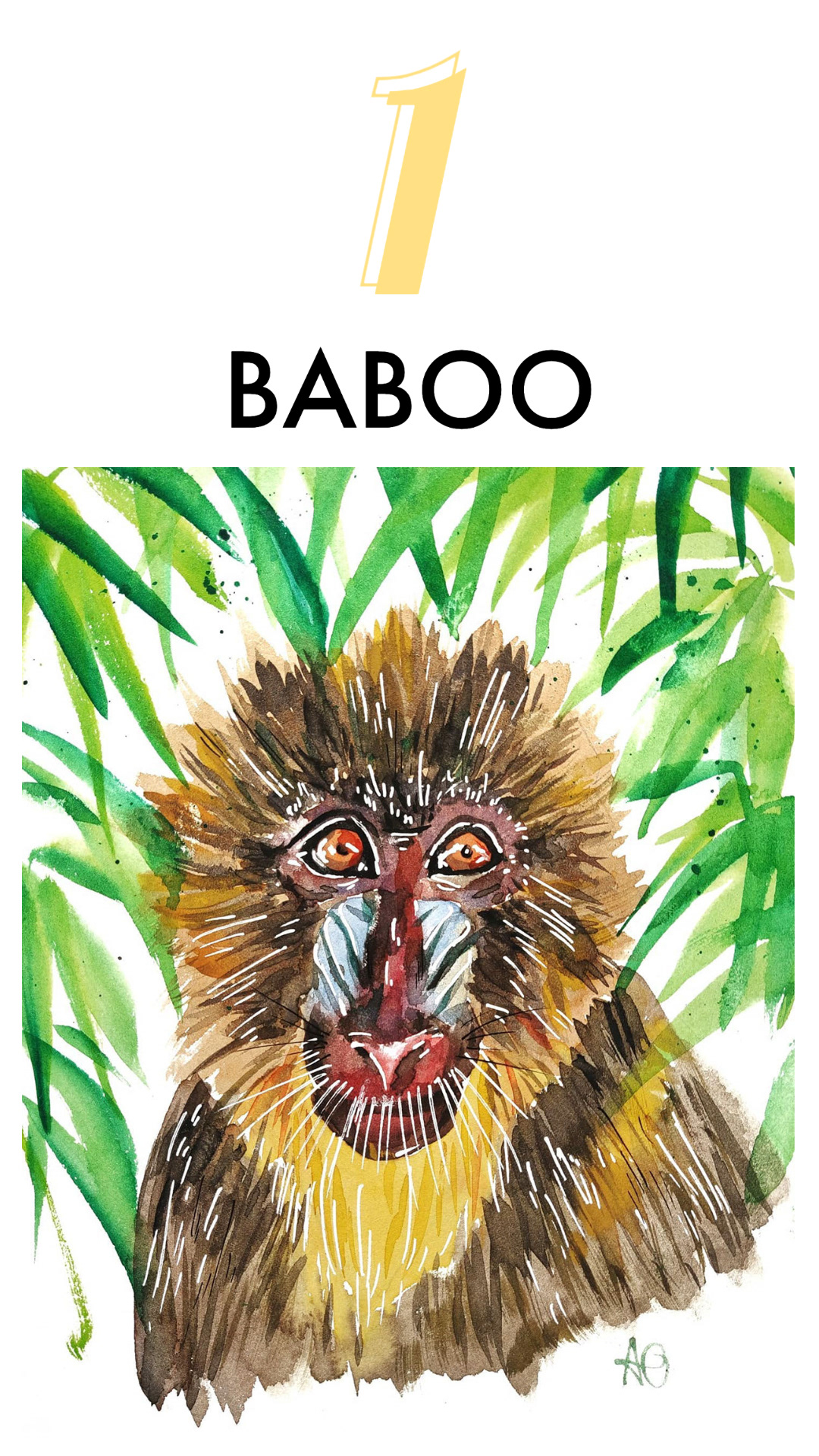 BABOO