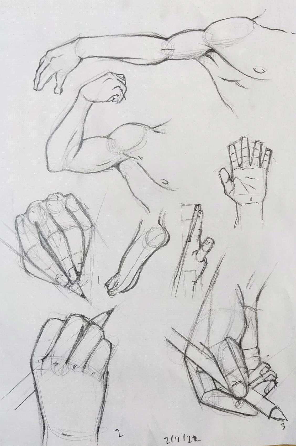 HUMAN ANATOMY DRAWING
