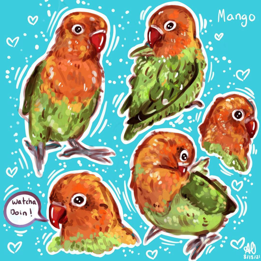 Mango
