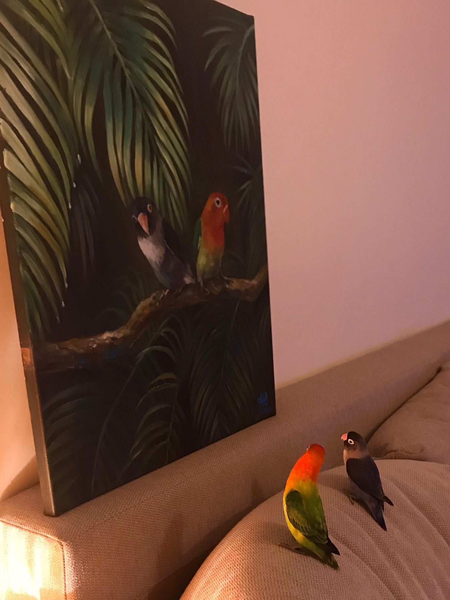 My Lovebirds: Berry & Mango