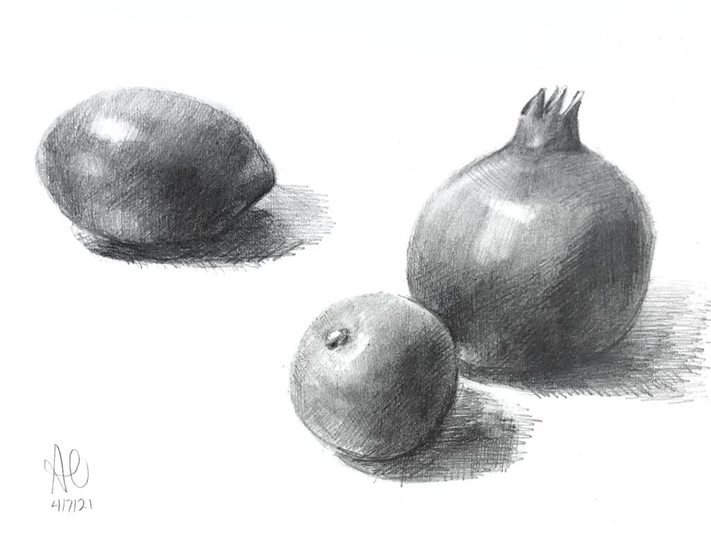 Anisa Ozalp - STILL LIFE DRAWING