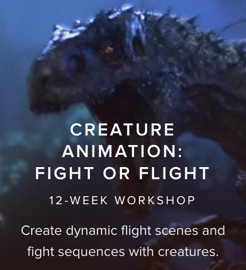 Fight & Flight