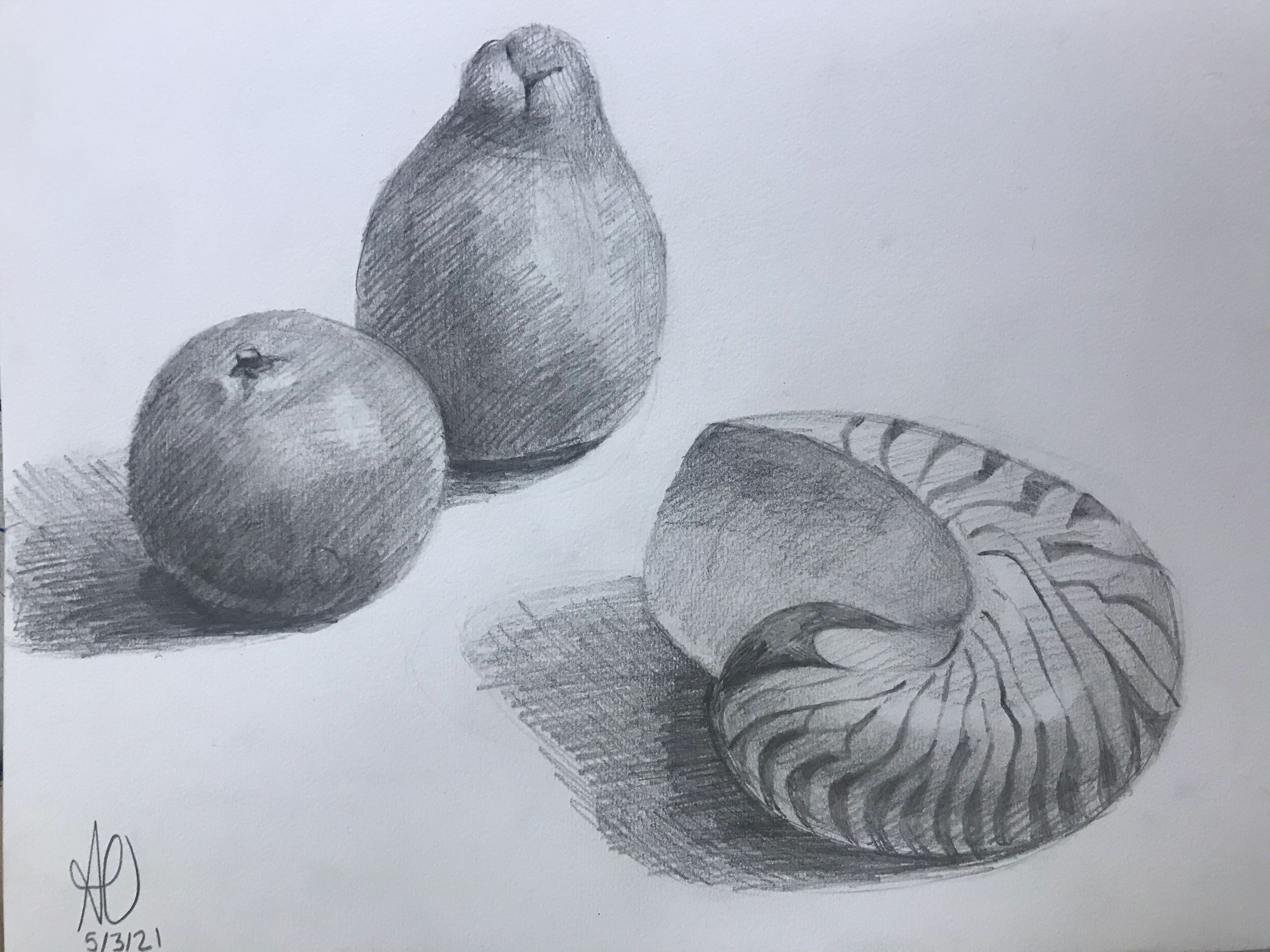 Orange, Pear & Sea Shell still life