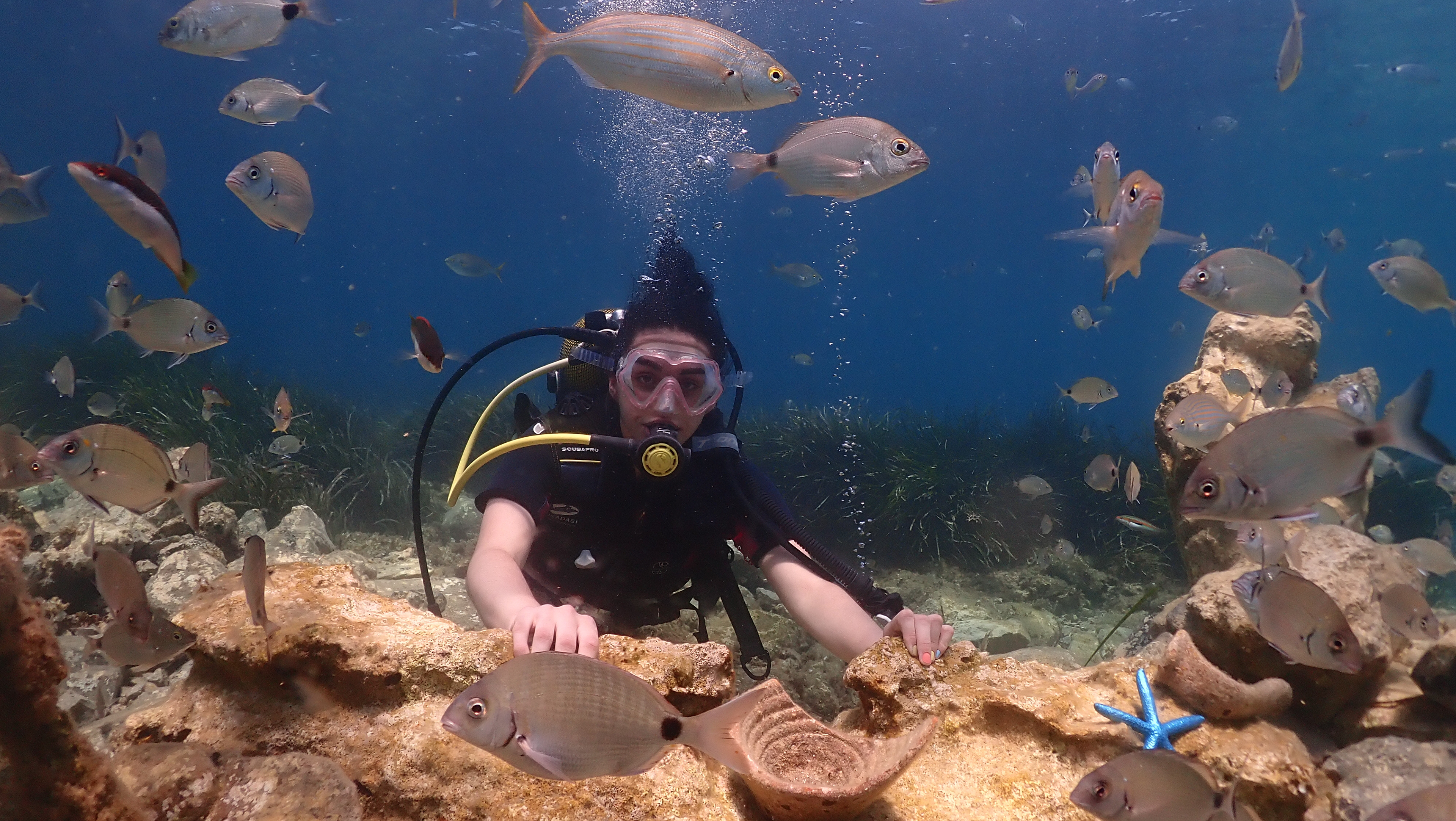 Scuba Diving