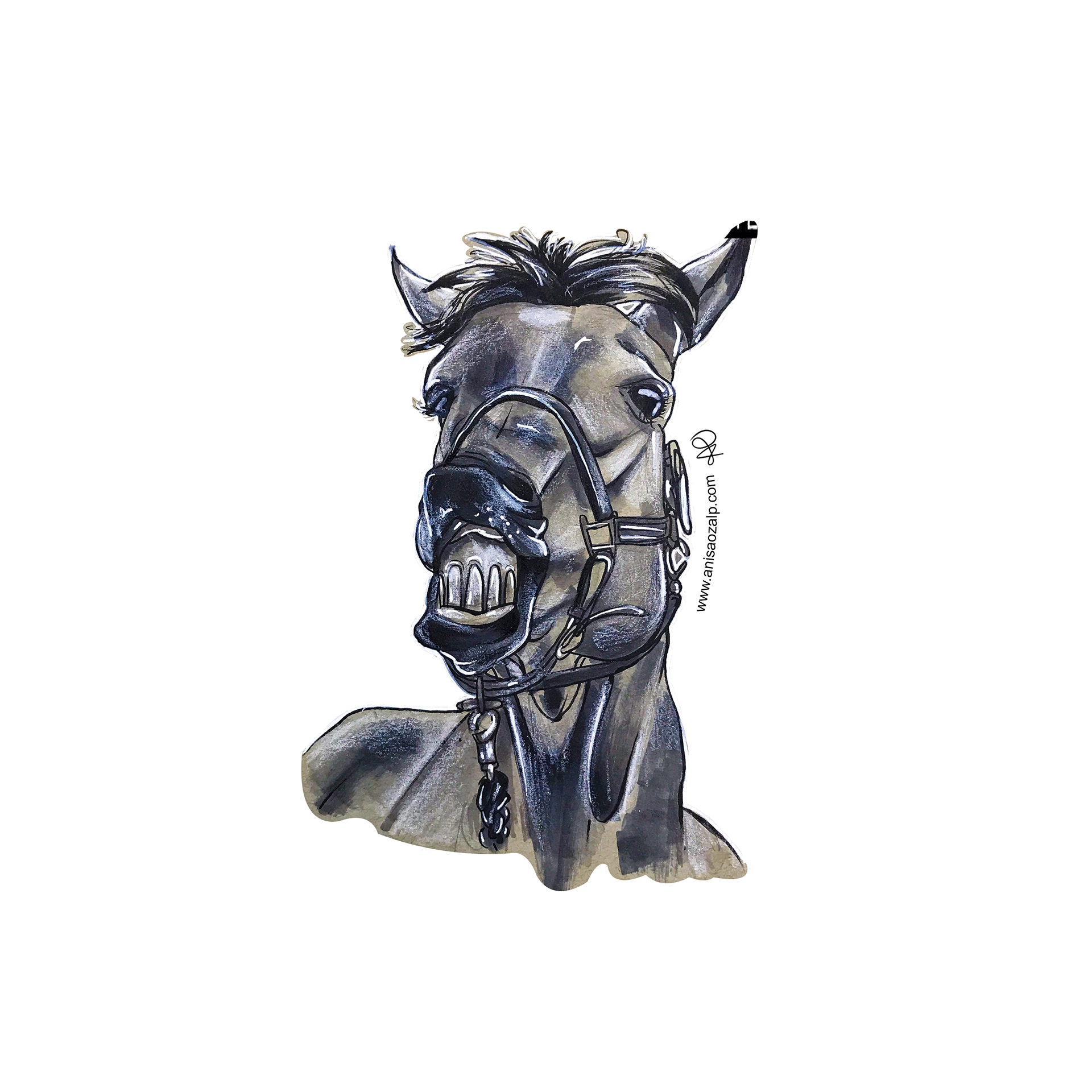 Horse Sticker