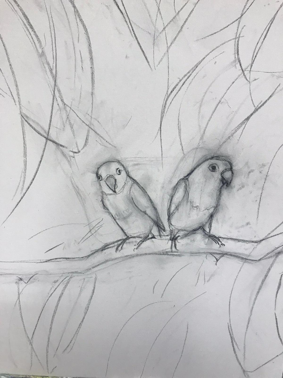 My Lovebirds: Berry & Mango