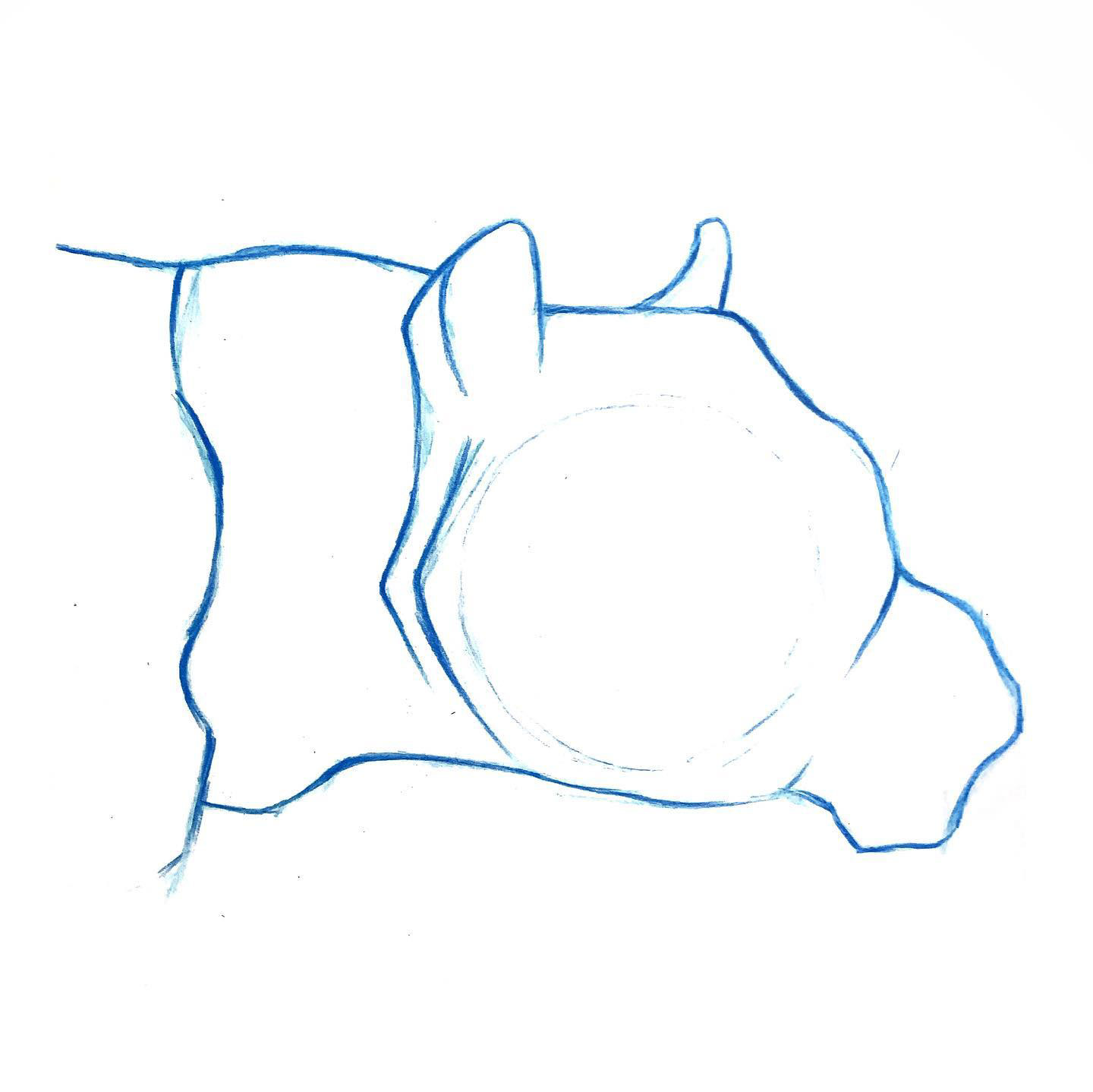 Tiger Headshape