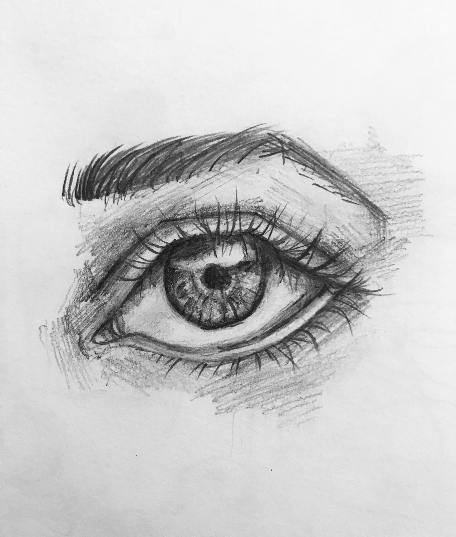HUMAN ANATOMY DRAWING
