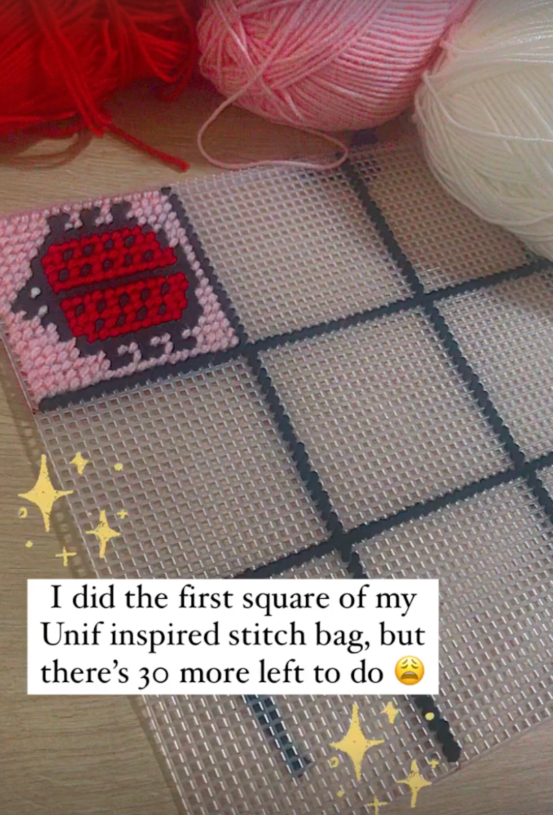 Anisa Ozalp - CROSS STITCH UNIF BAG